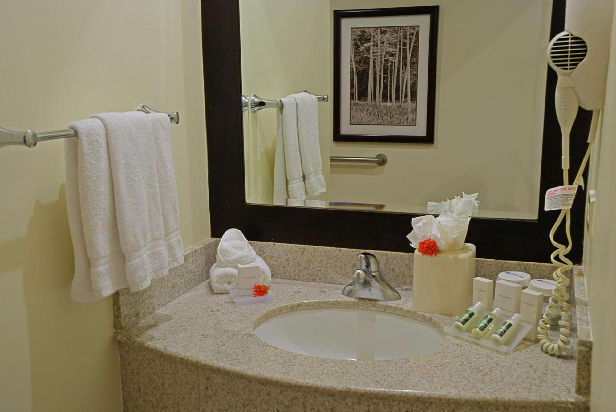 Hilton Garden Guanacaste Airport Hotel 3*