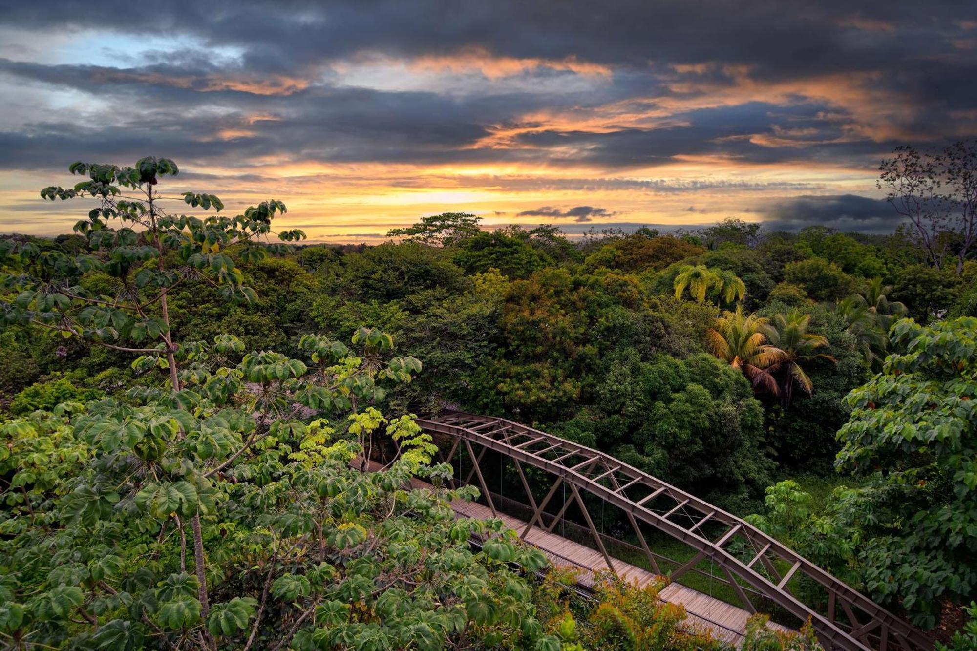 Botanika Osa Peninsula, Curio Collection By Hilton 4* Puerto Jimenez