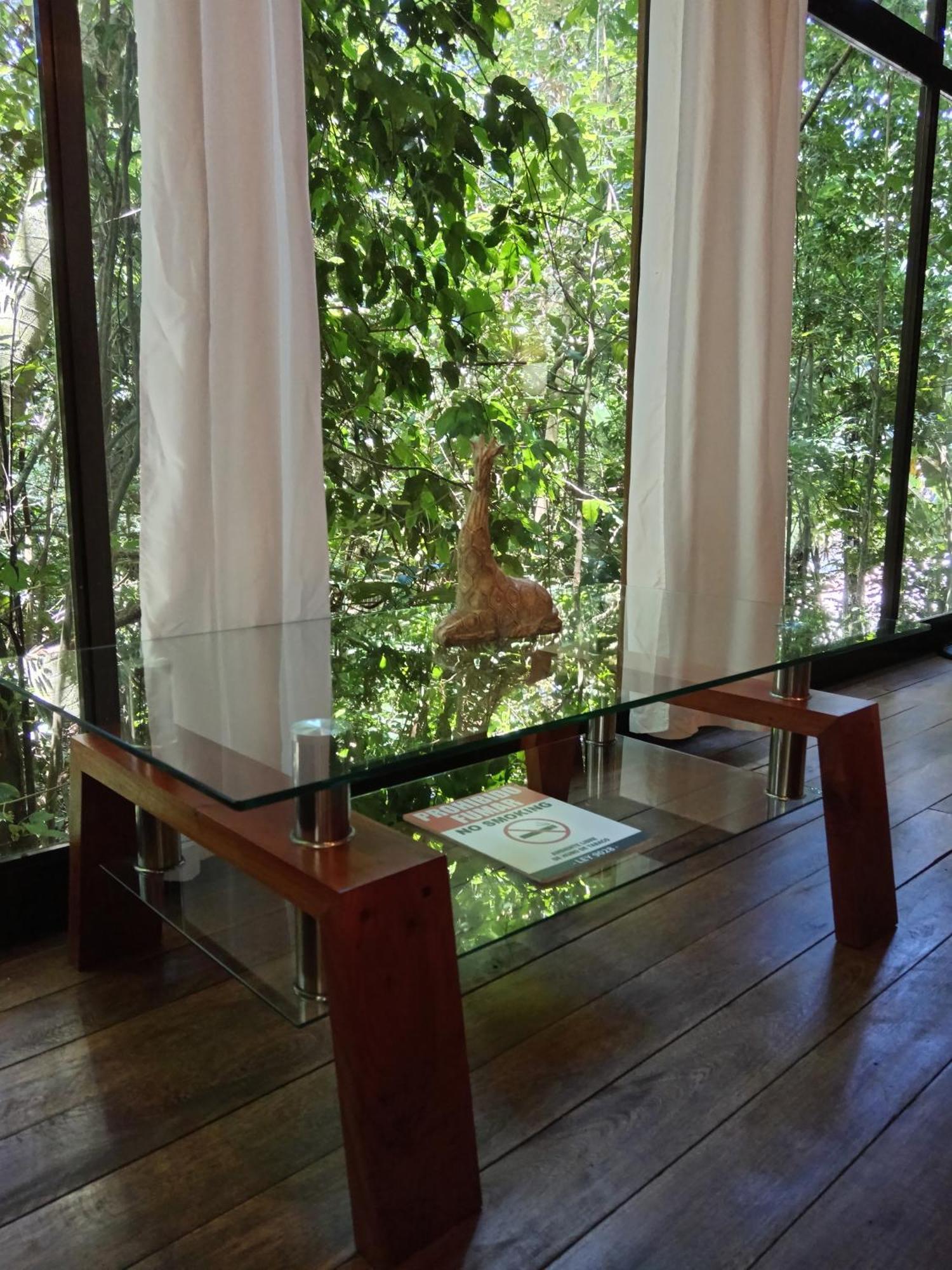 Jungle Living Tree *