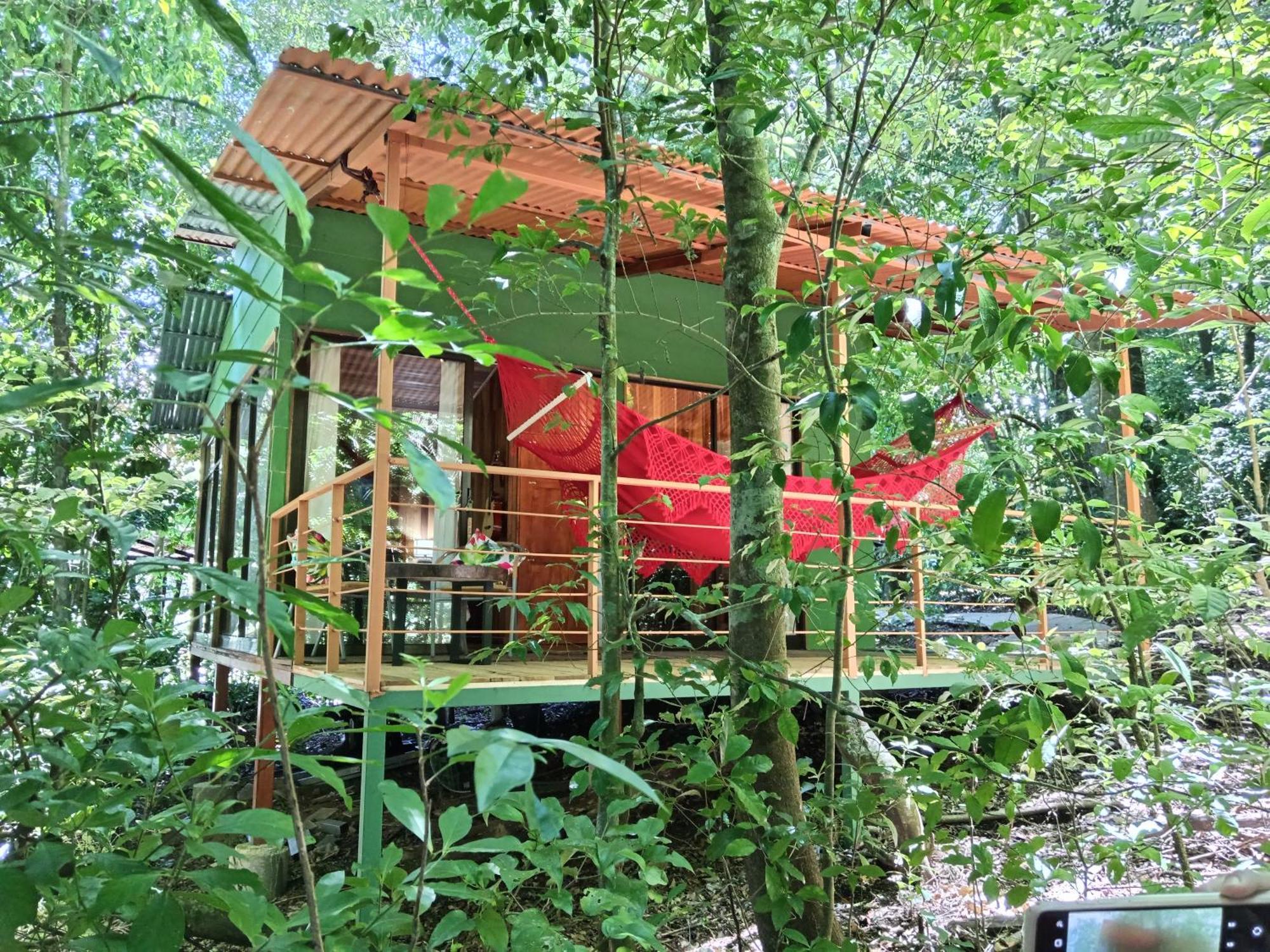 Jungle Living Tree