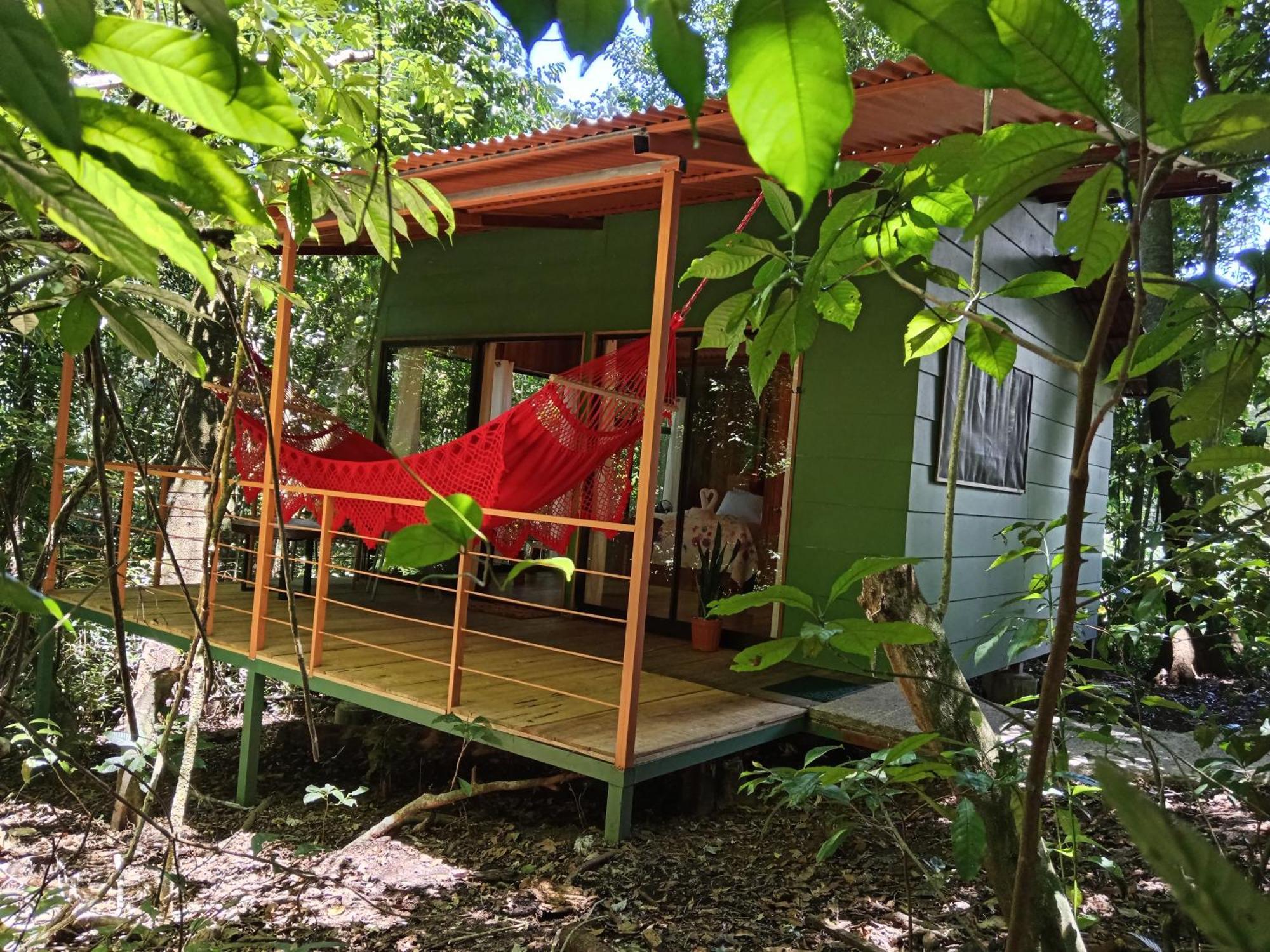 Lodge Jungle Living Tree *