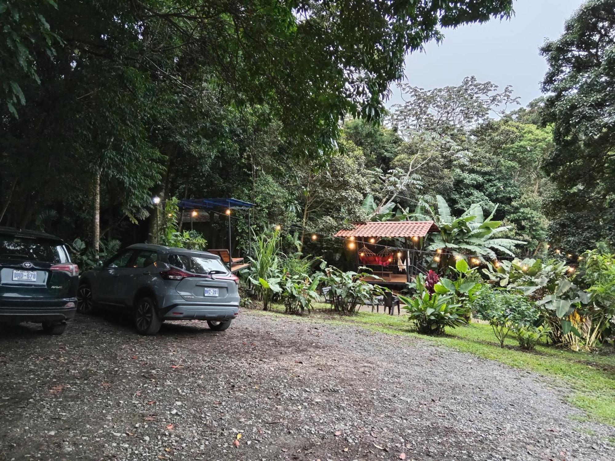 Lodge Jungle Living Tree Monteverde