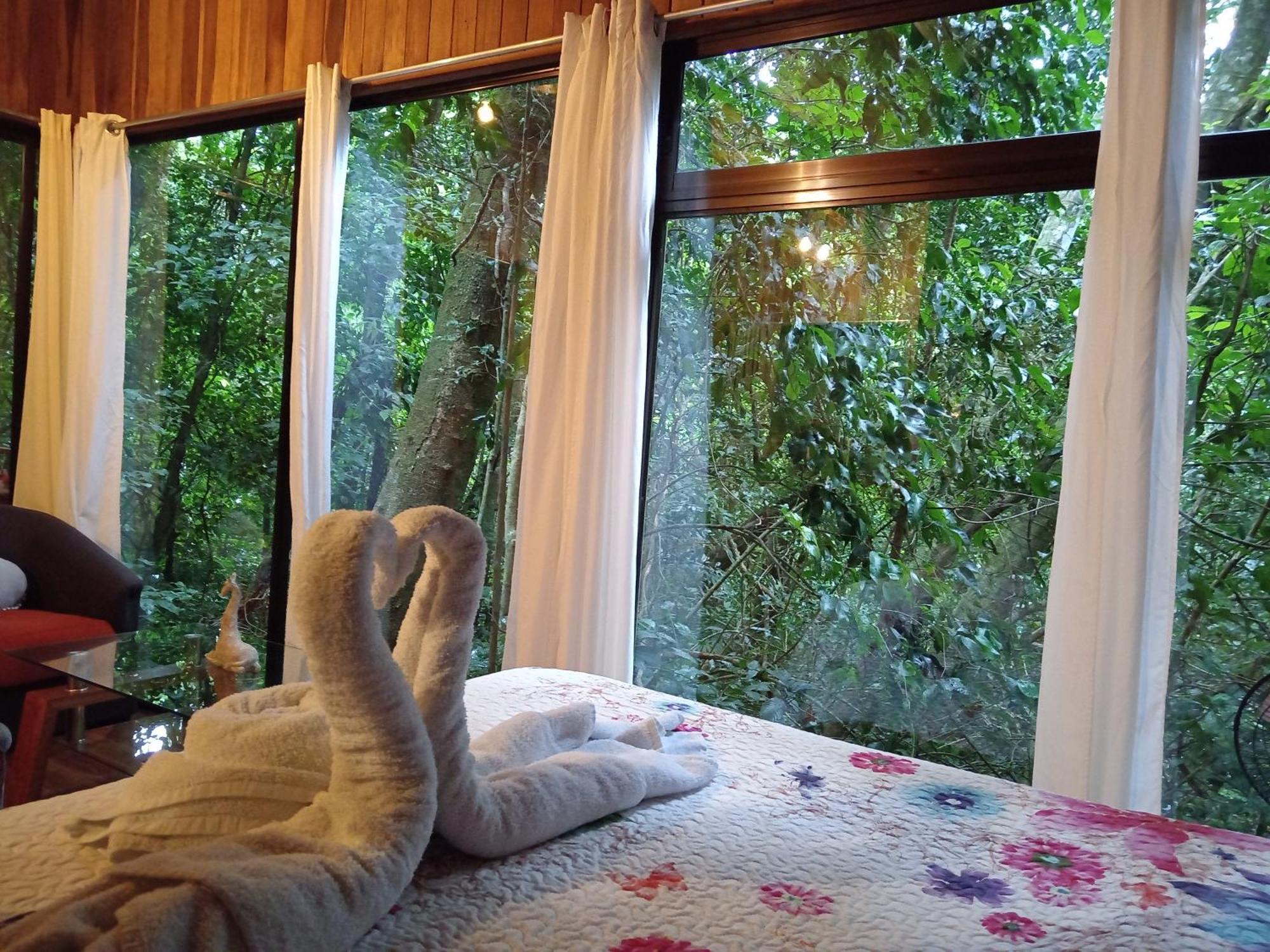 Lodge Jungle Living Tree