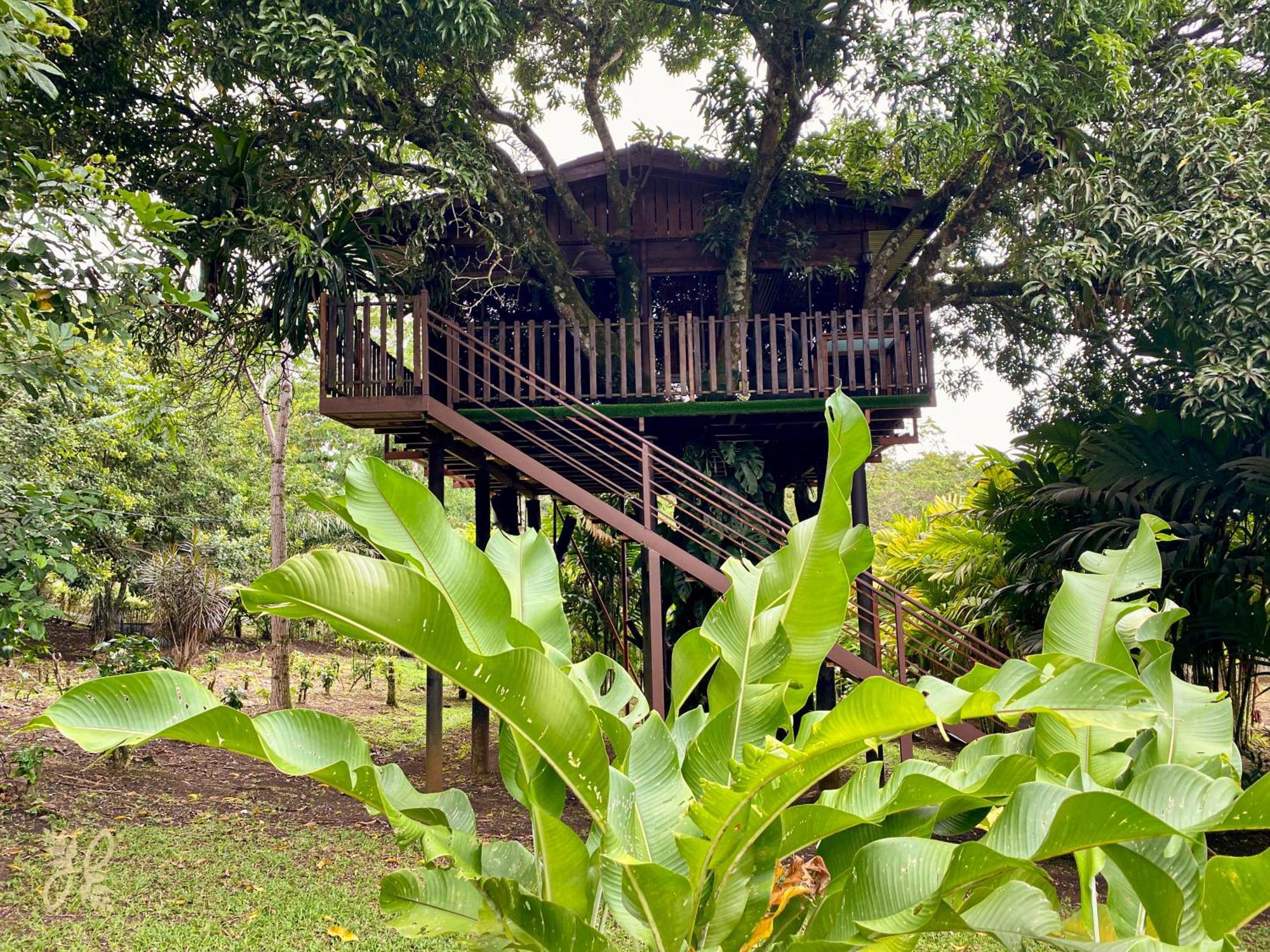 Heliconias Nature & Hot Springs La Fortuna