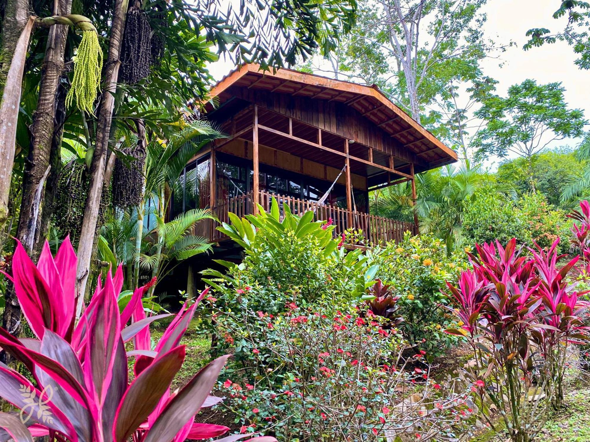Hotel Heliconias Nature & Hot Springs