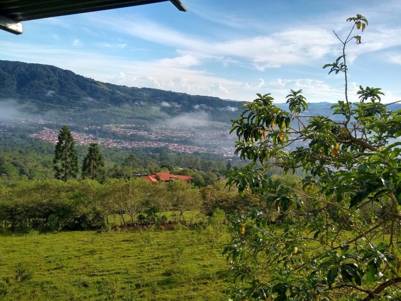 Hotel Mountain *