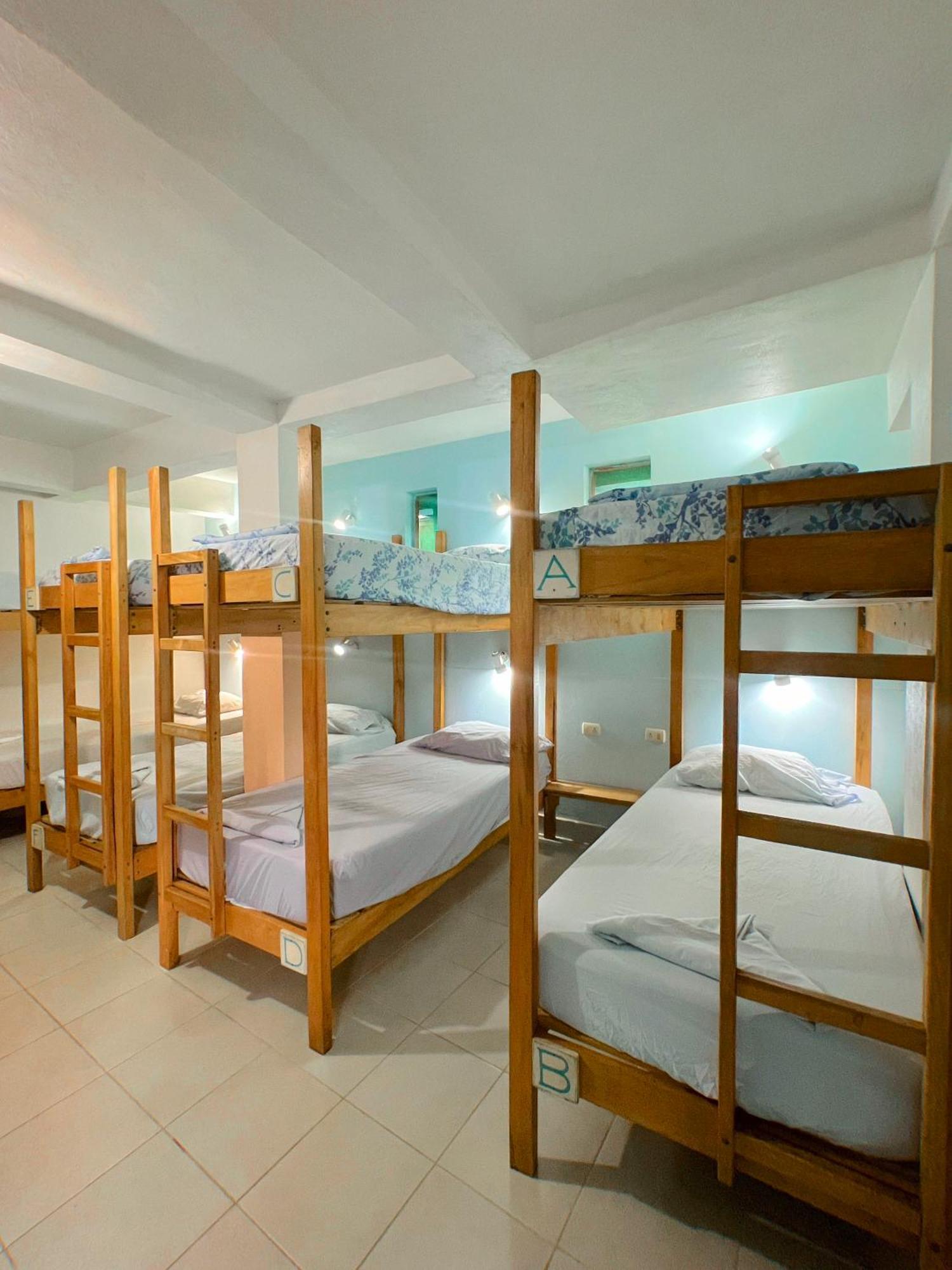 Hostel Samara Hostel *