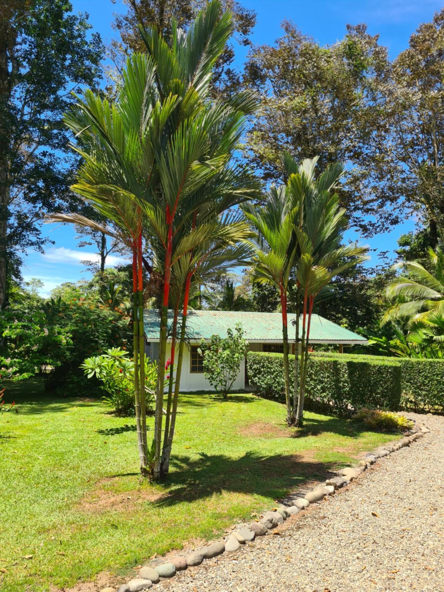 Lodge La Rana De *