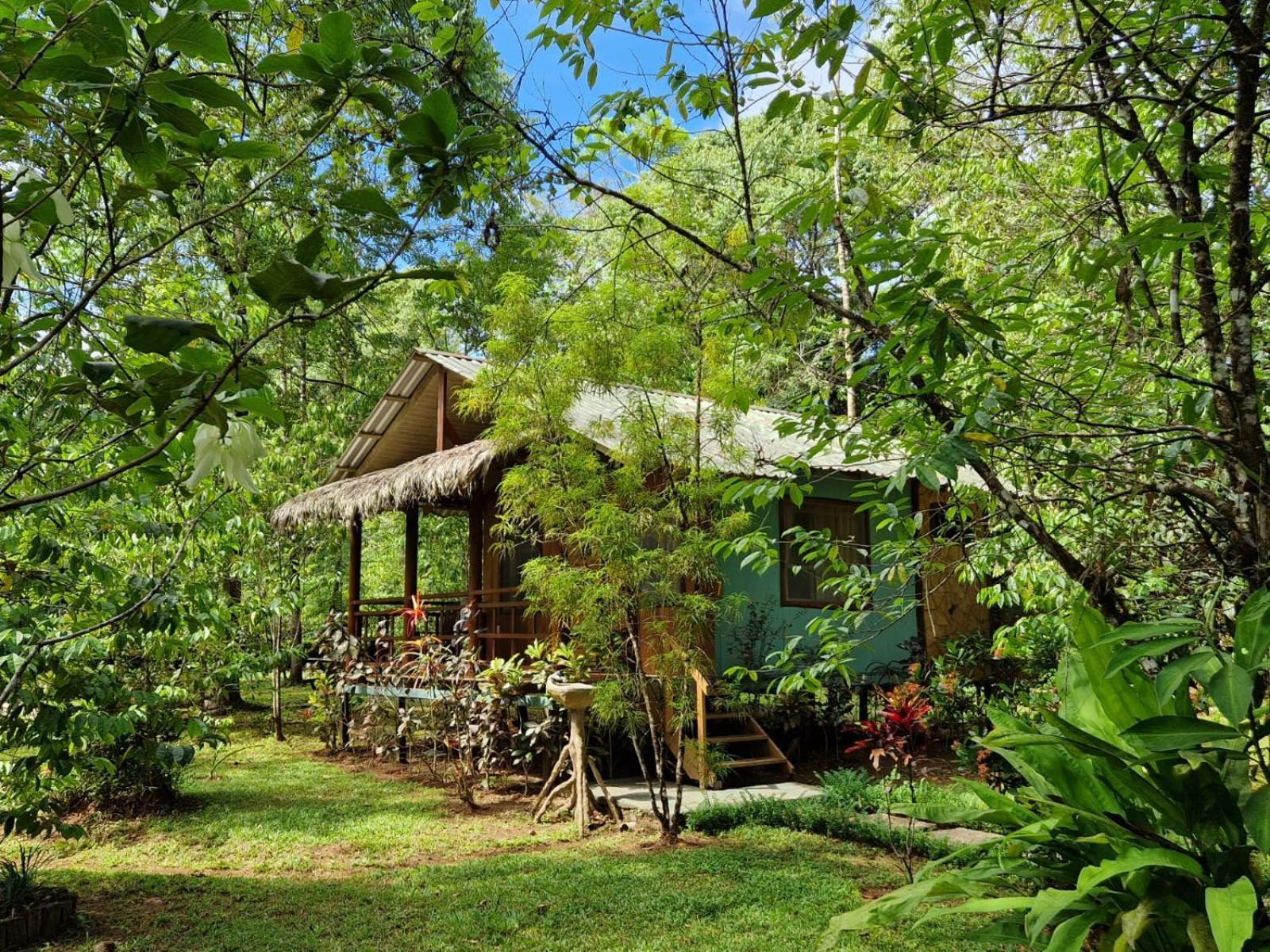 Hidden Paradise Hotel