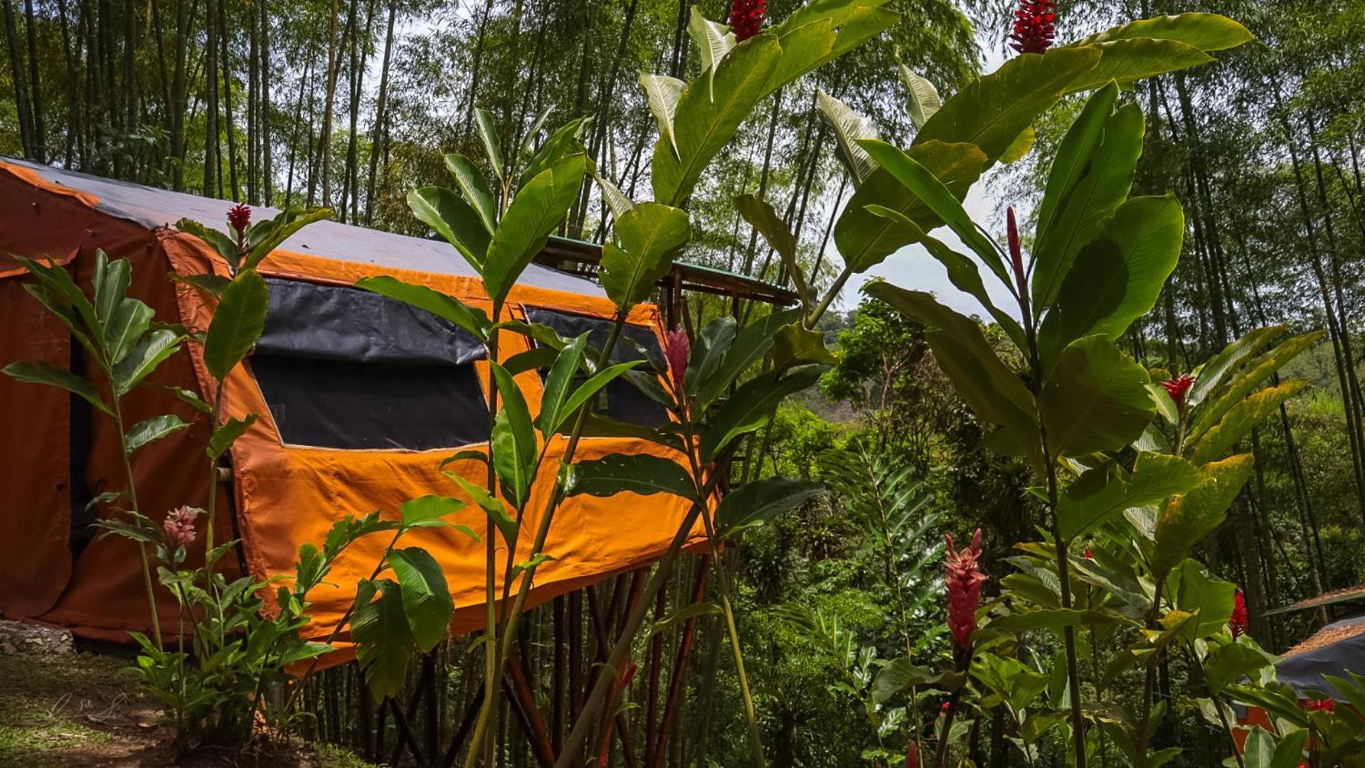 Lodge Essence Arenal & Yoga *