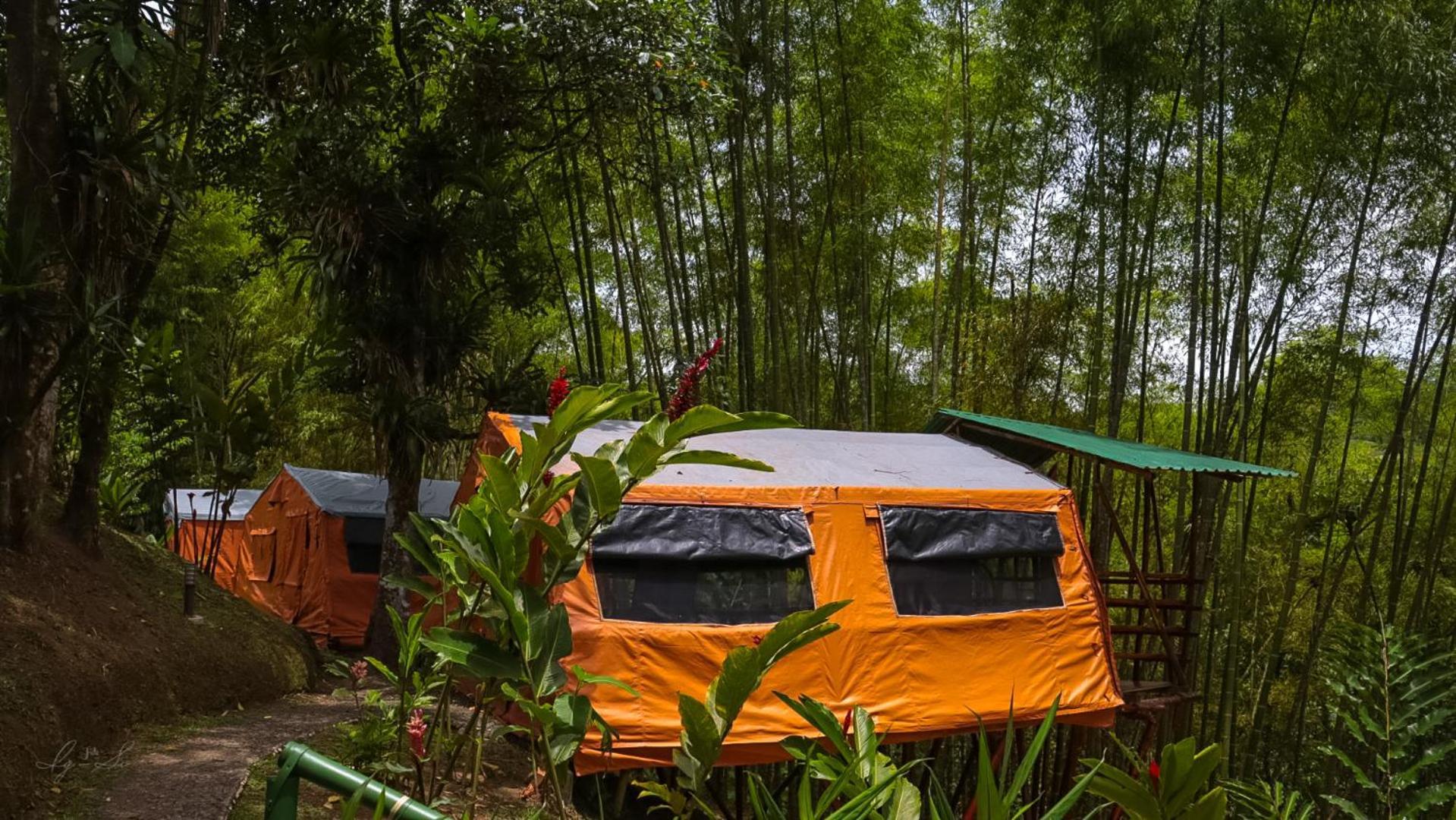 Lodge Essence Arenal & Yoga *