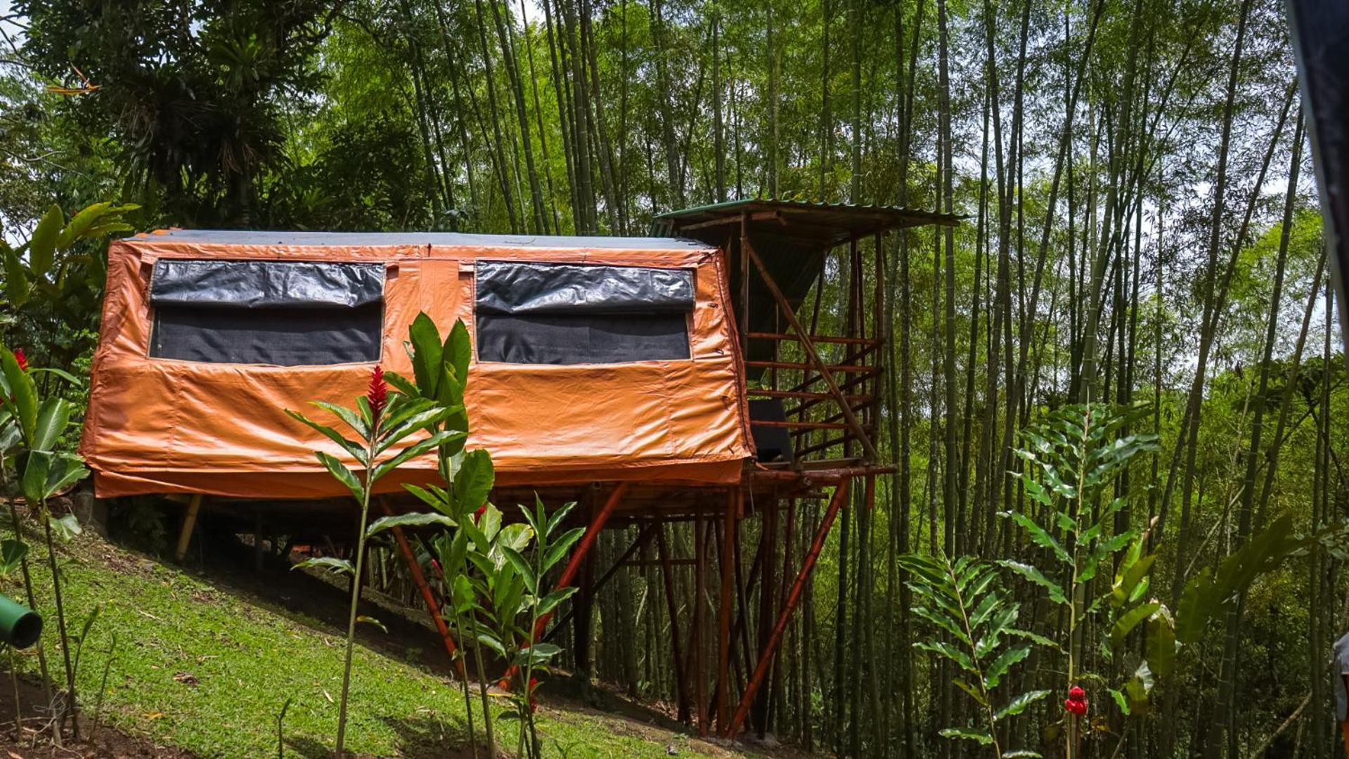Essence Arenal & Yoga *