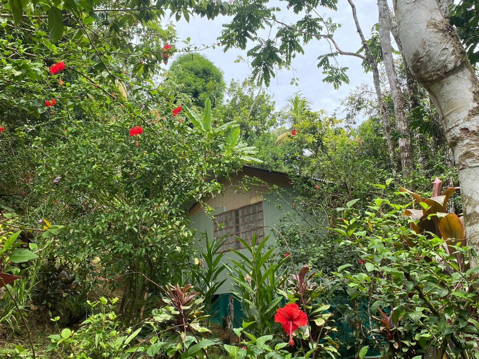 Bed & Breakfast Casa Horizontes Corcovado 2*