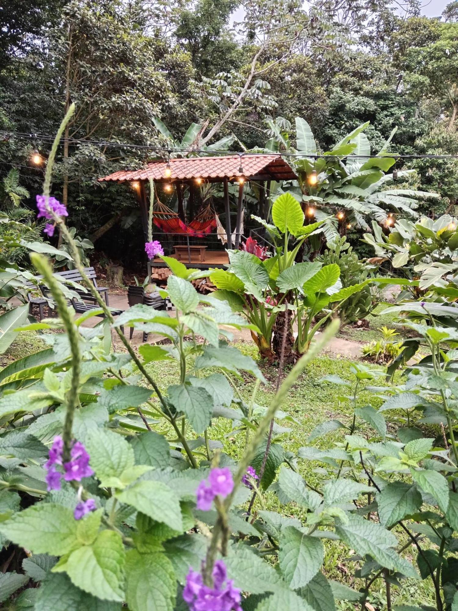 Jungle Living Tree