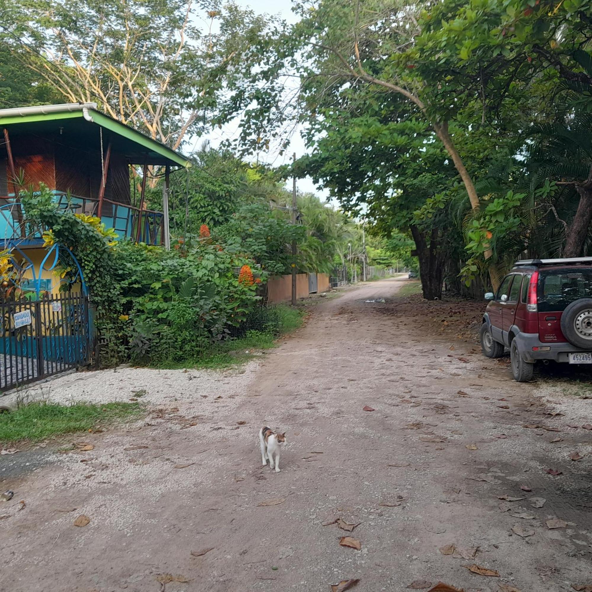 Hostel Cabinas Del Mar Samara