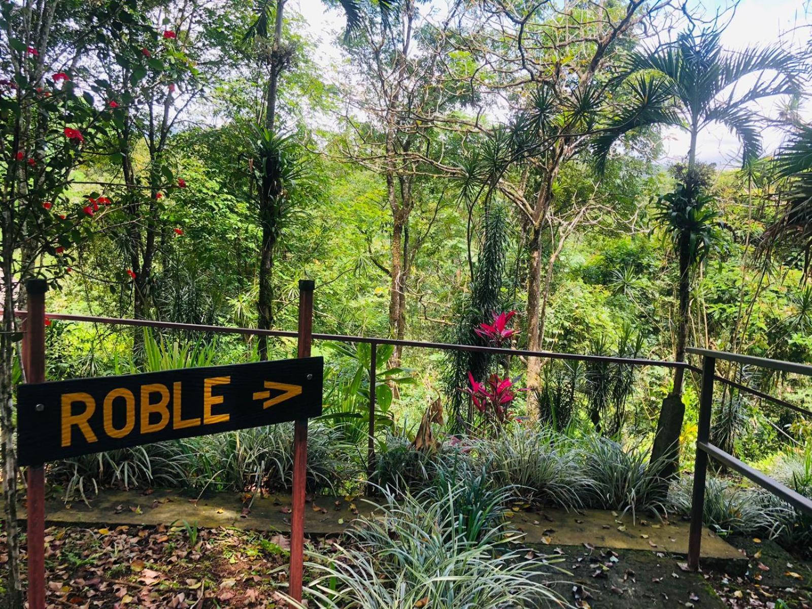 Avita Quesada (Alajuela)