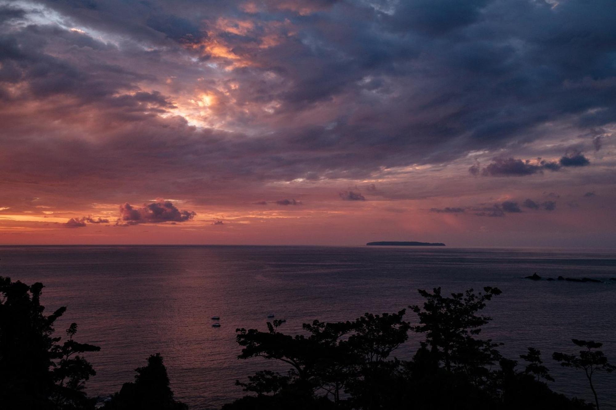 Corcovado Wilderness By Scp San Pedrillo