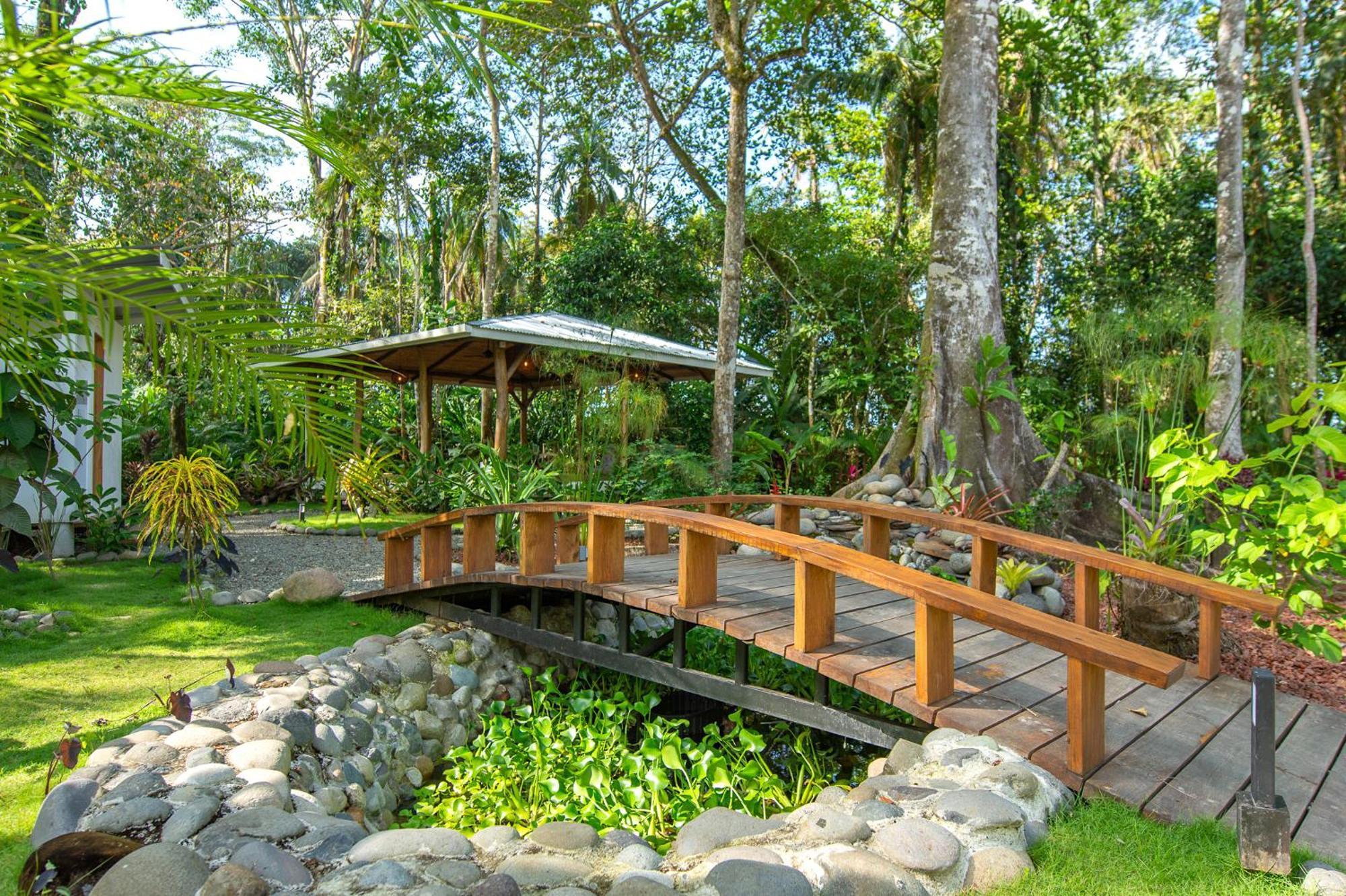 Dragonfly Beachfront Villas-adult Only * Punta Uva