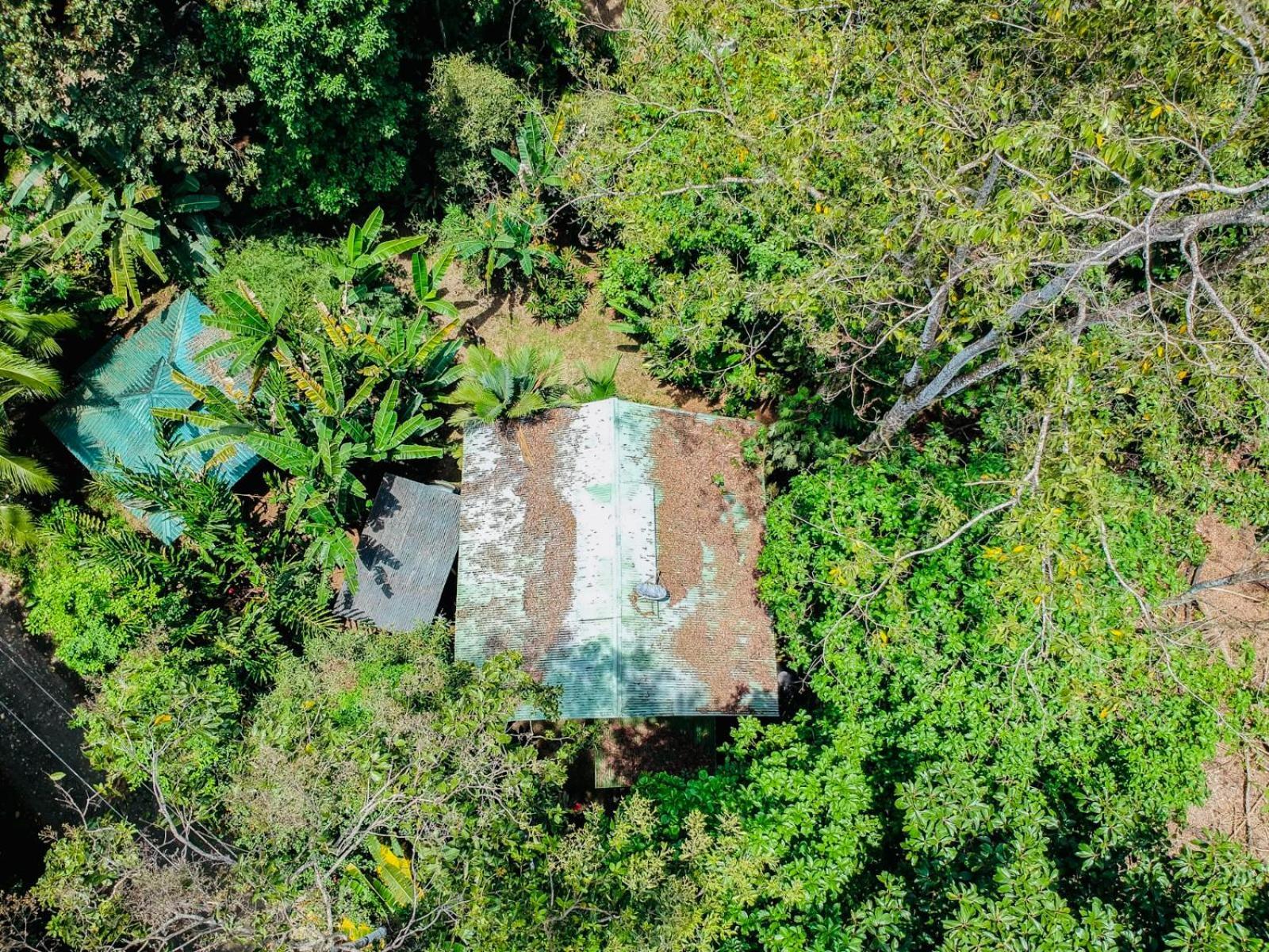 Private Villa, Pool, Hot Jacuzzi In Puerto Viejo Villa