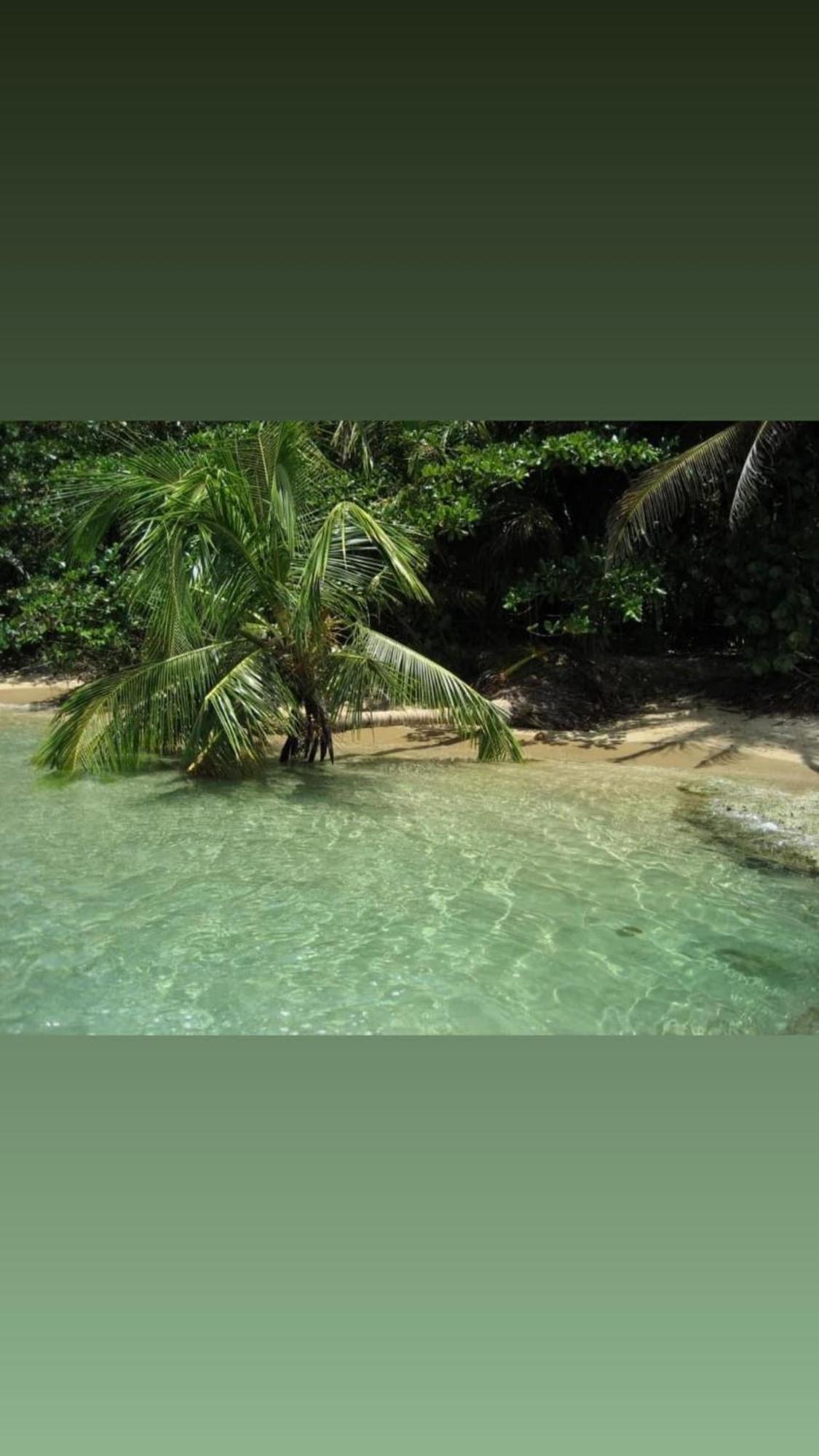 Private Villa, Pool, Hot Jacuzzi In Puerto Viejo *