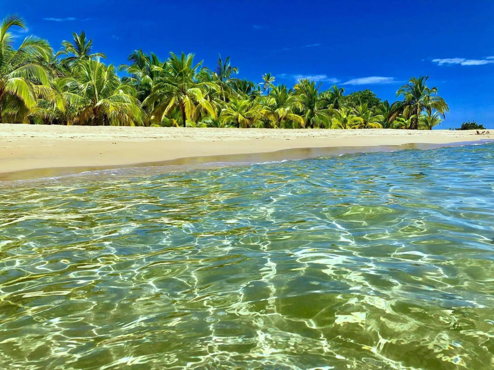 Private Villa, Pool, Hot Jacuzzi In Puerto Viejo Cocles