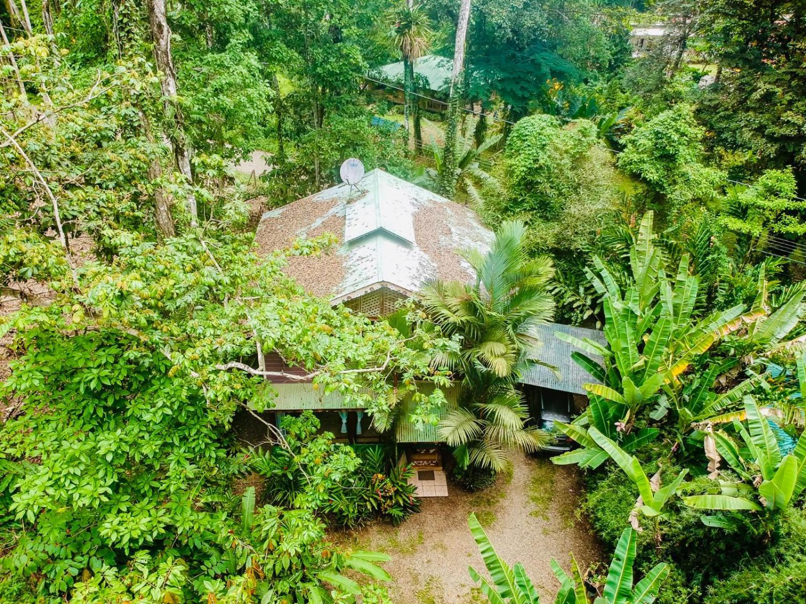 Private Villa, Pool, Hot Jacuzzi In Puerto Viejo Cocles