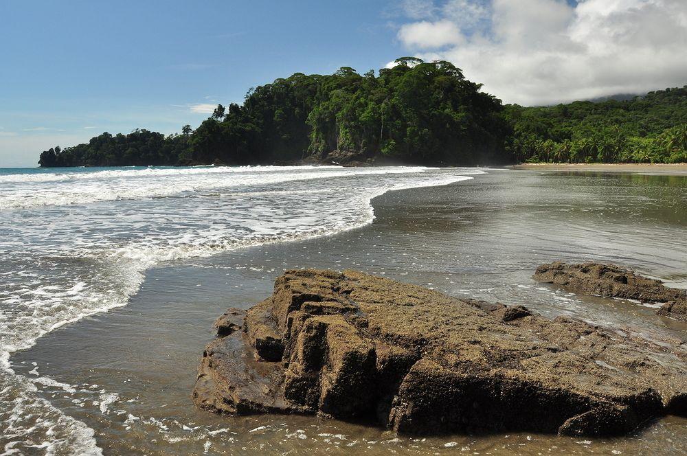 Tiki Rainforest & Hotel Uvita