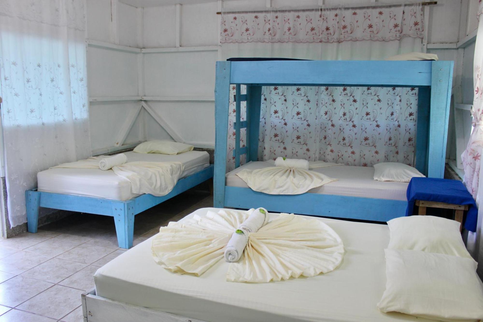 Life For Life Hostel: Sea Turtle Conservation At Hostel Drake Bay