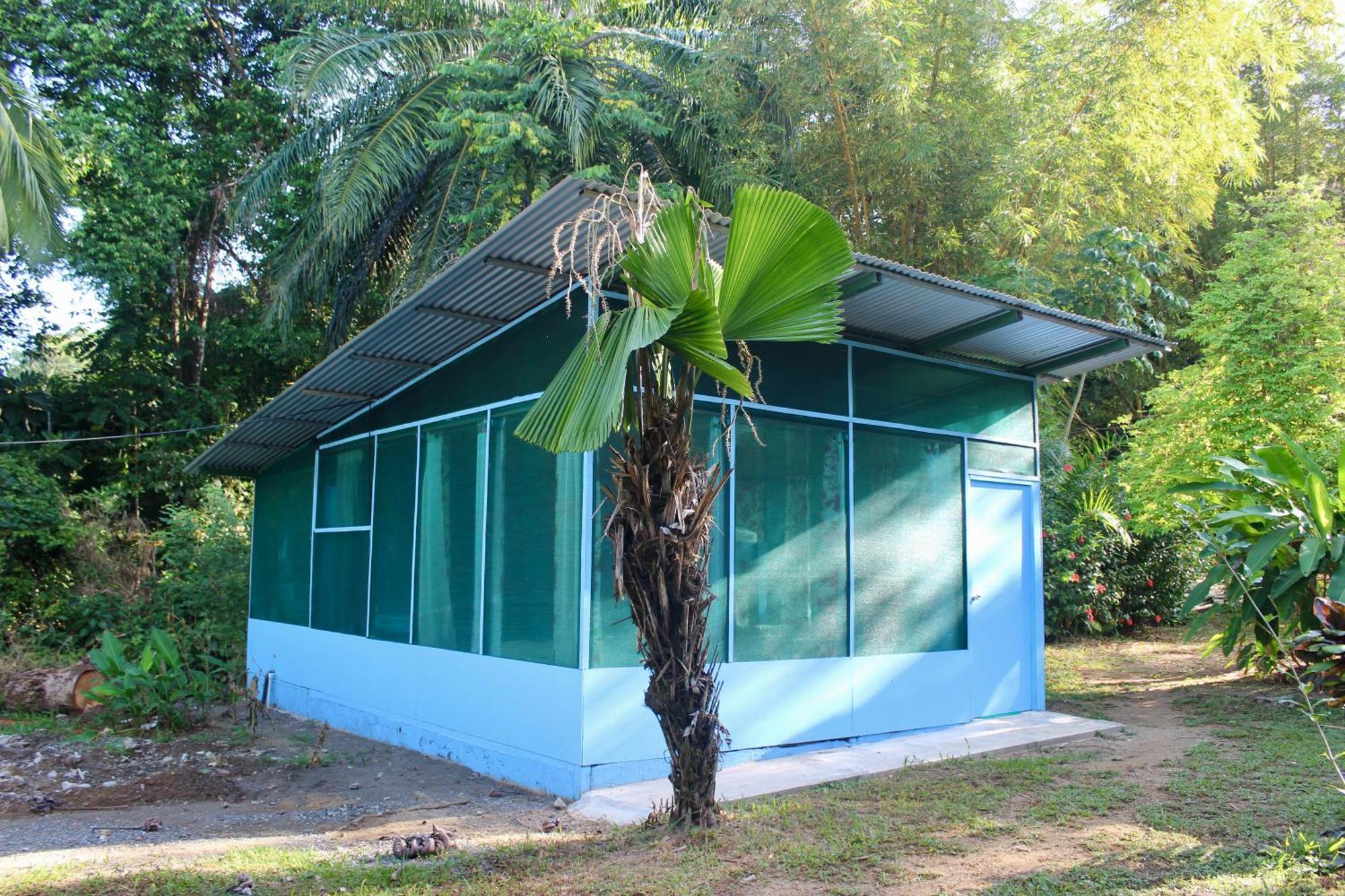 Life For Life Hostel: Sea Turtle Conservation At Hostel