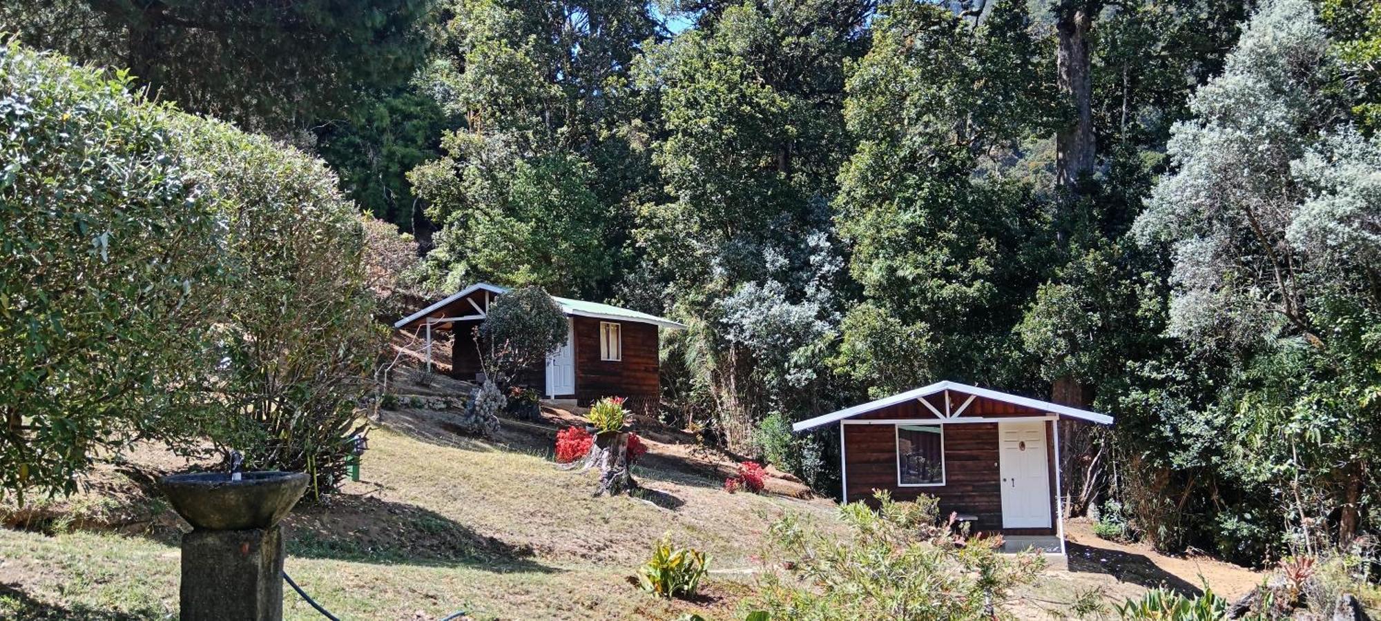 Miriam's Quetzals Bed & Breakfast San Gerardo de Dota