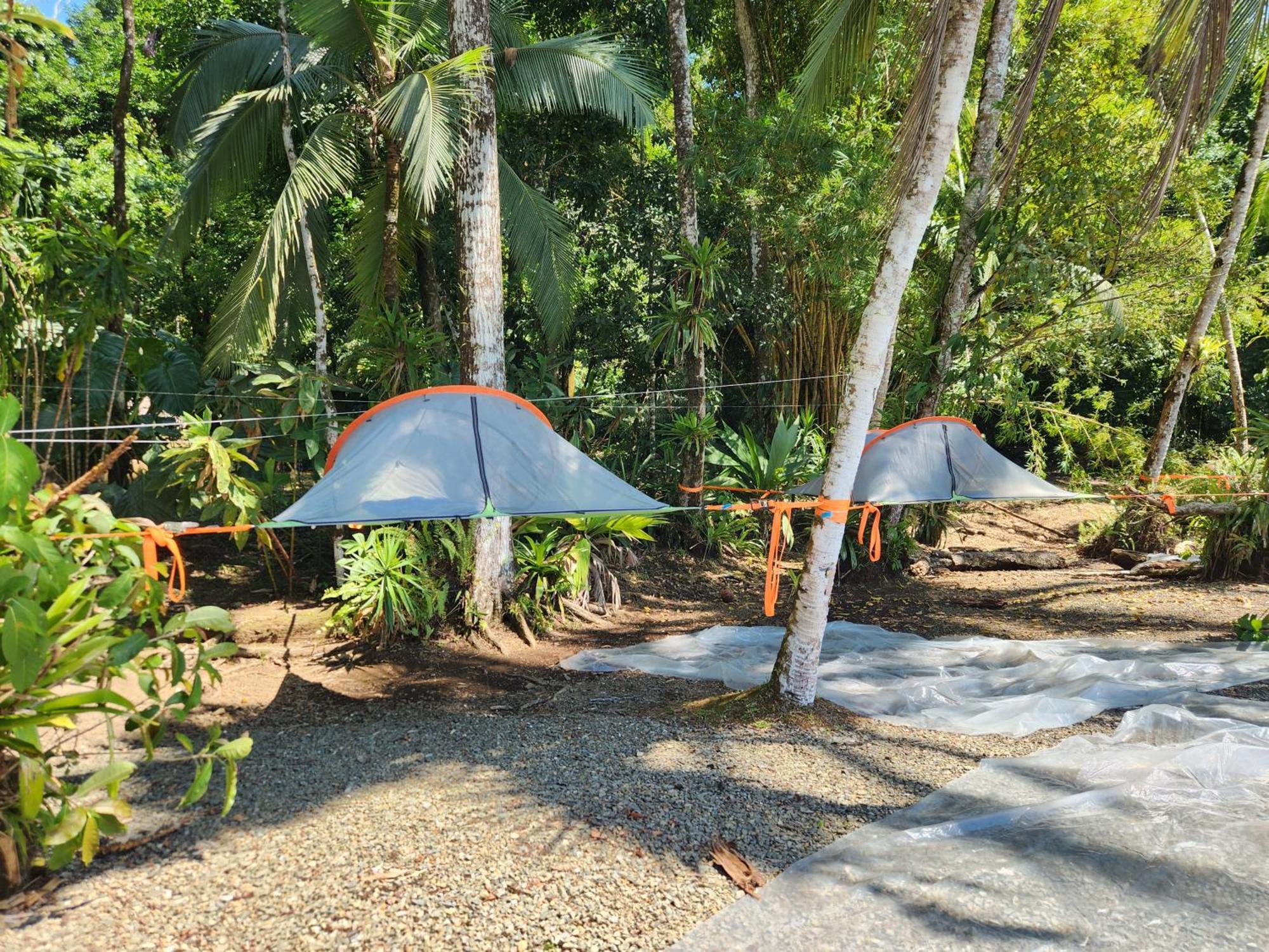 Luxury tent Ararat Eco Farm