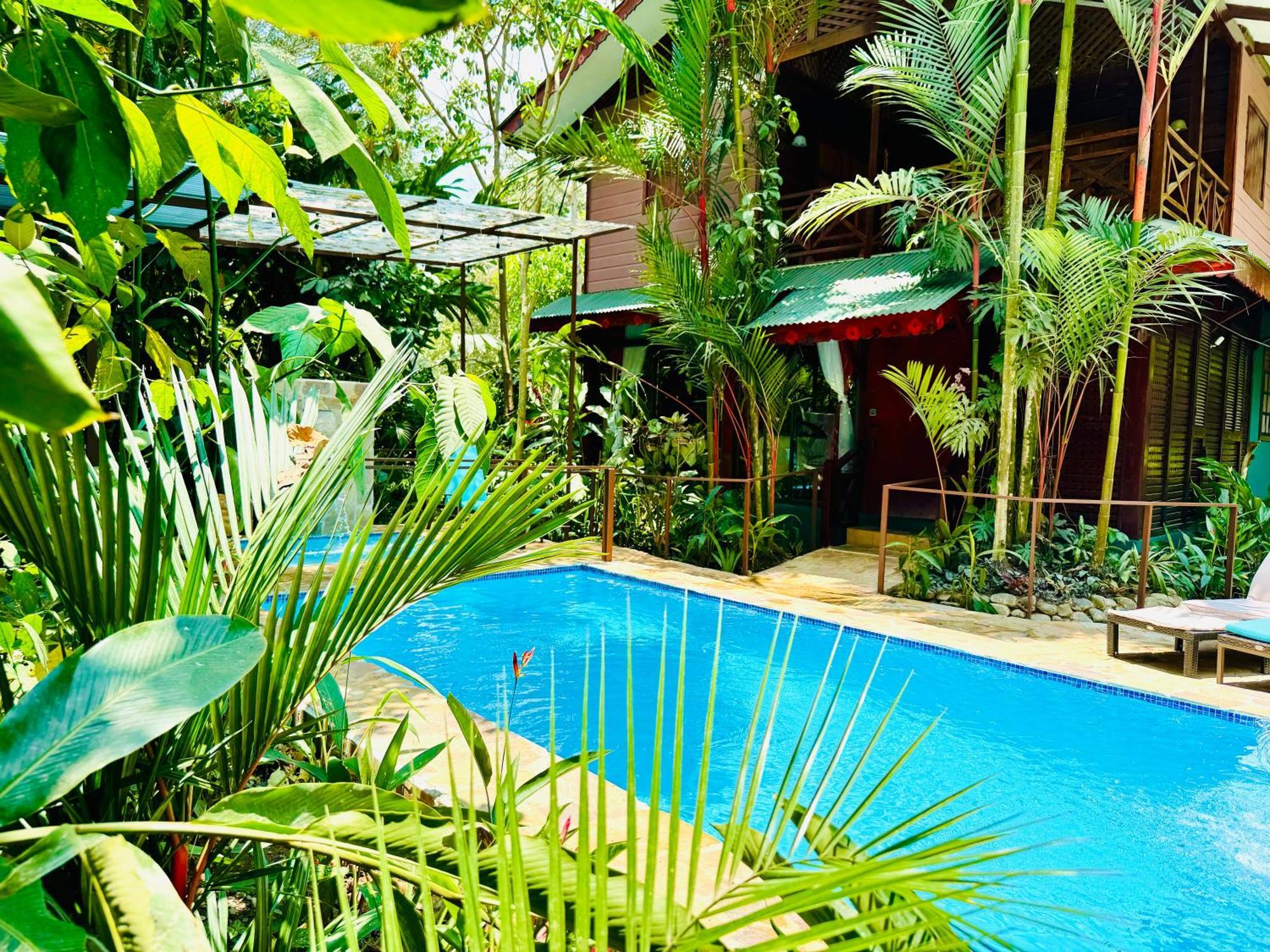 Private Villa, Pool, Hot Jacuzzi In Puerto Viejo