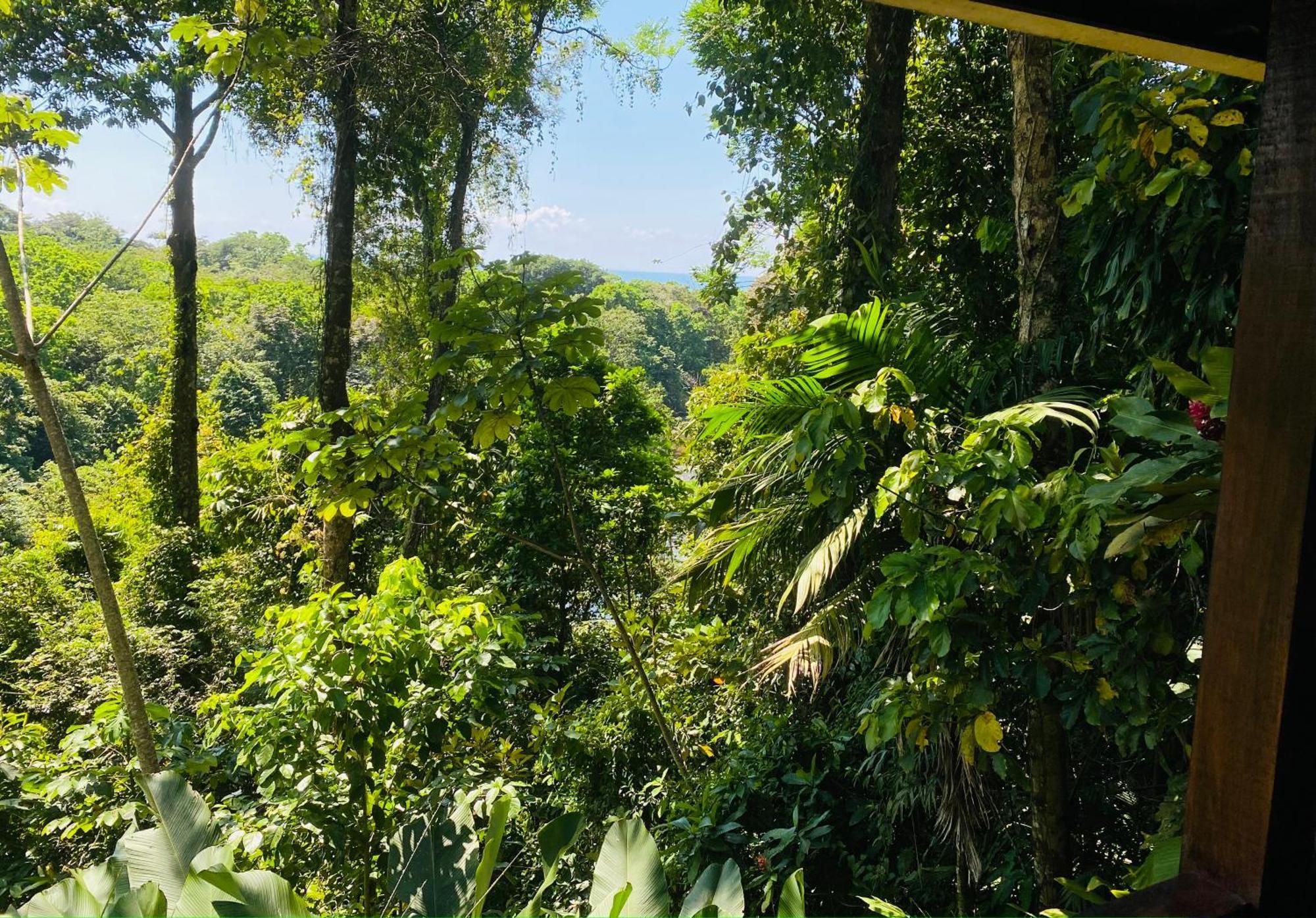 En El Bosque Villa