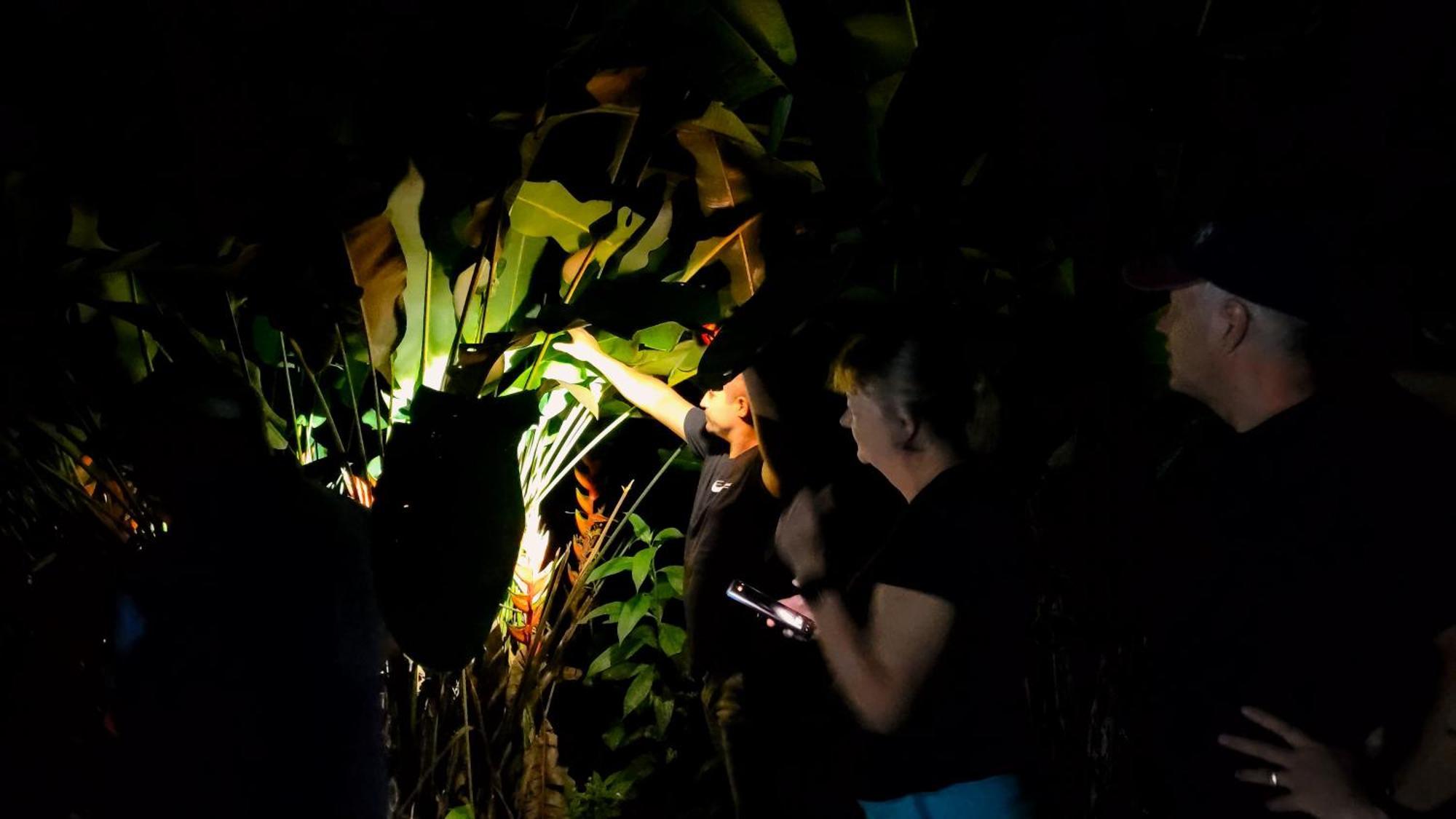 Silencio Del Bosque Lodge La Fortuna