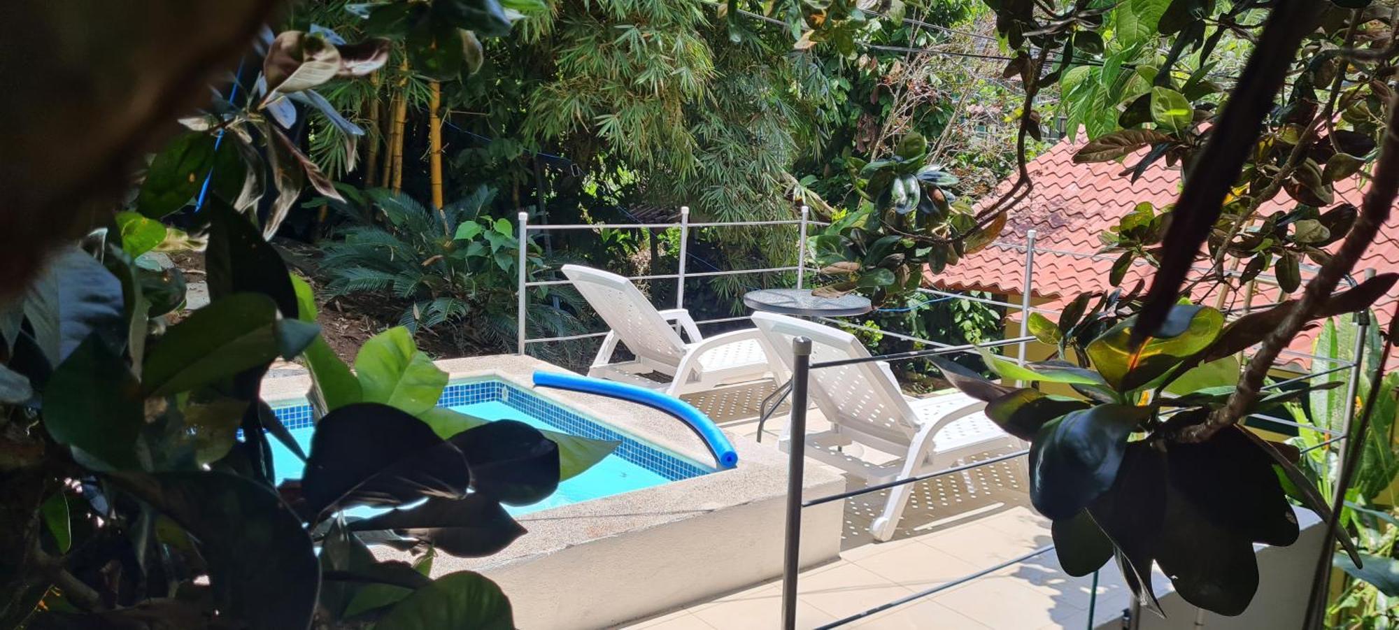Jungle With Ac & Fiber Optic