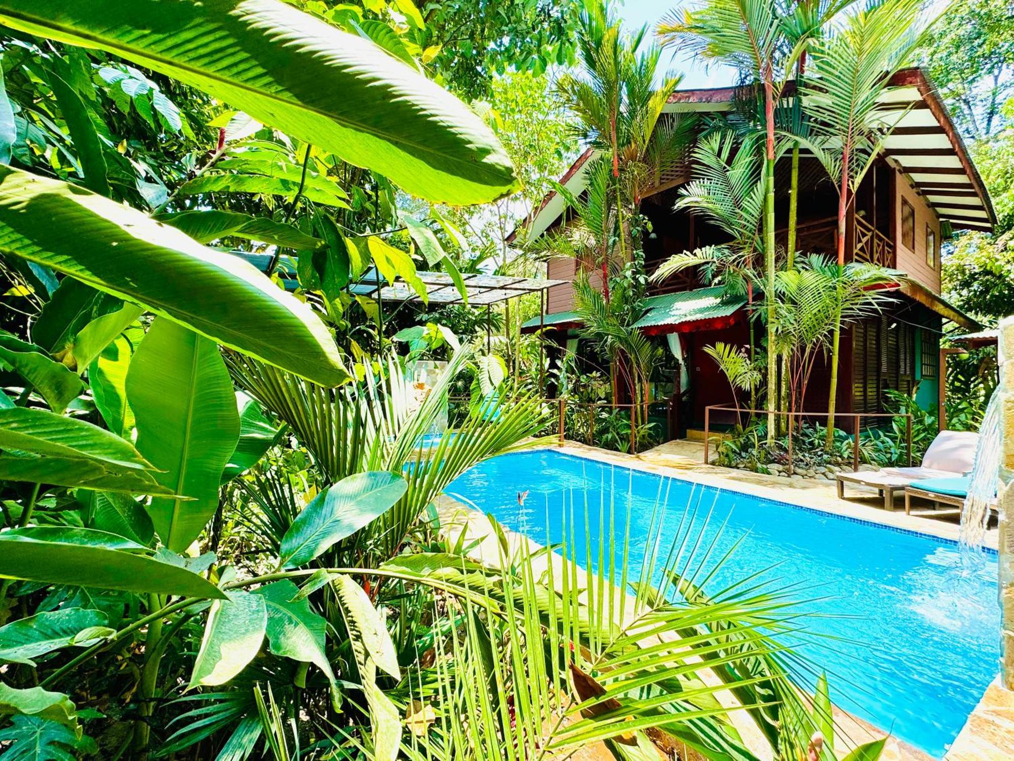 Villa Private Villa, Pool, Hot Jacuzzi In Puerto Viejo Cocles