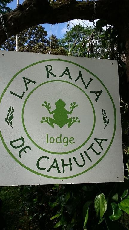 La Rana De * Cahuita