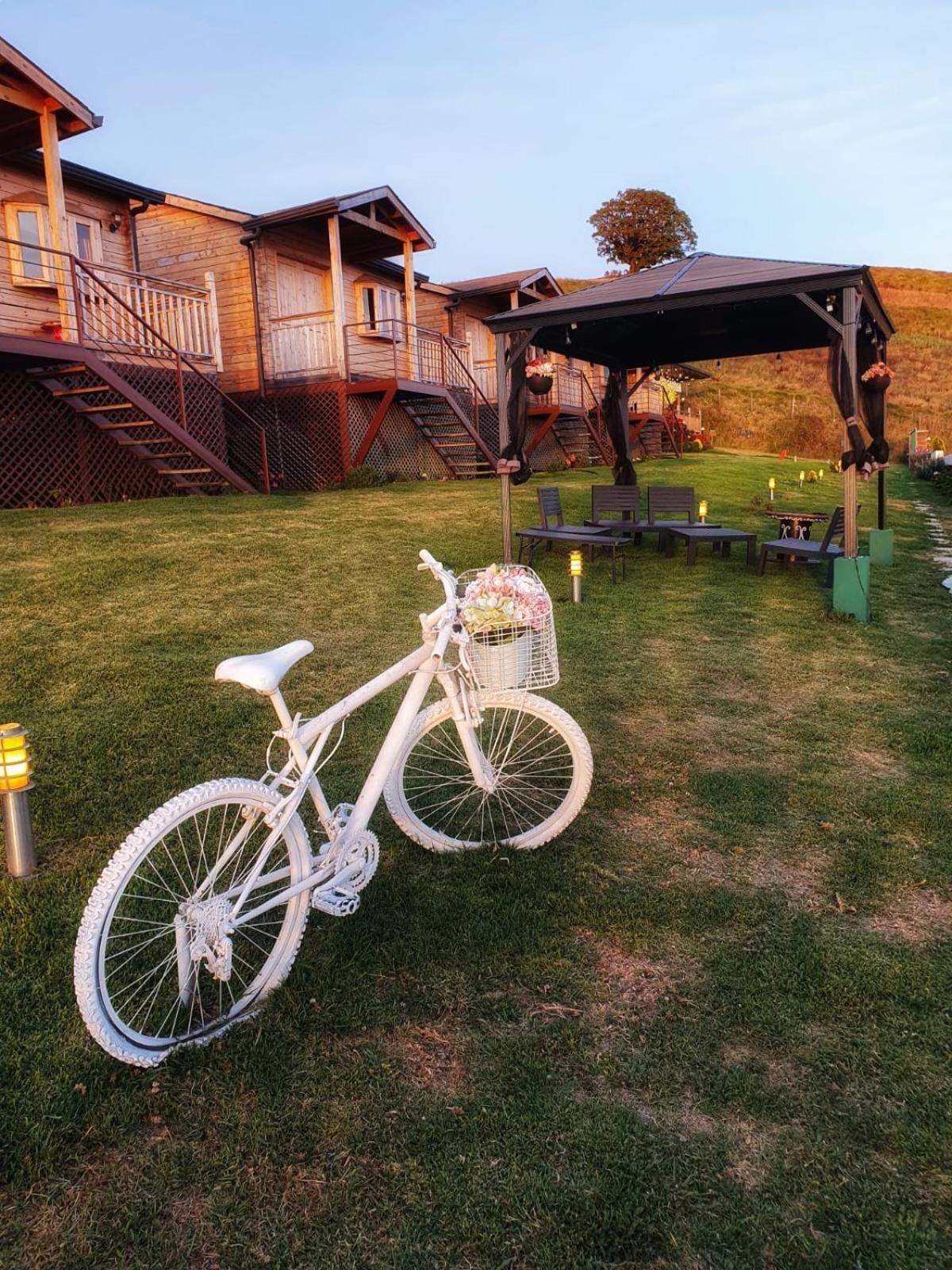 Hotel Y Mirador Secret Garden Cr Cartago