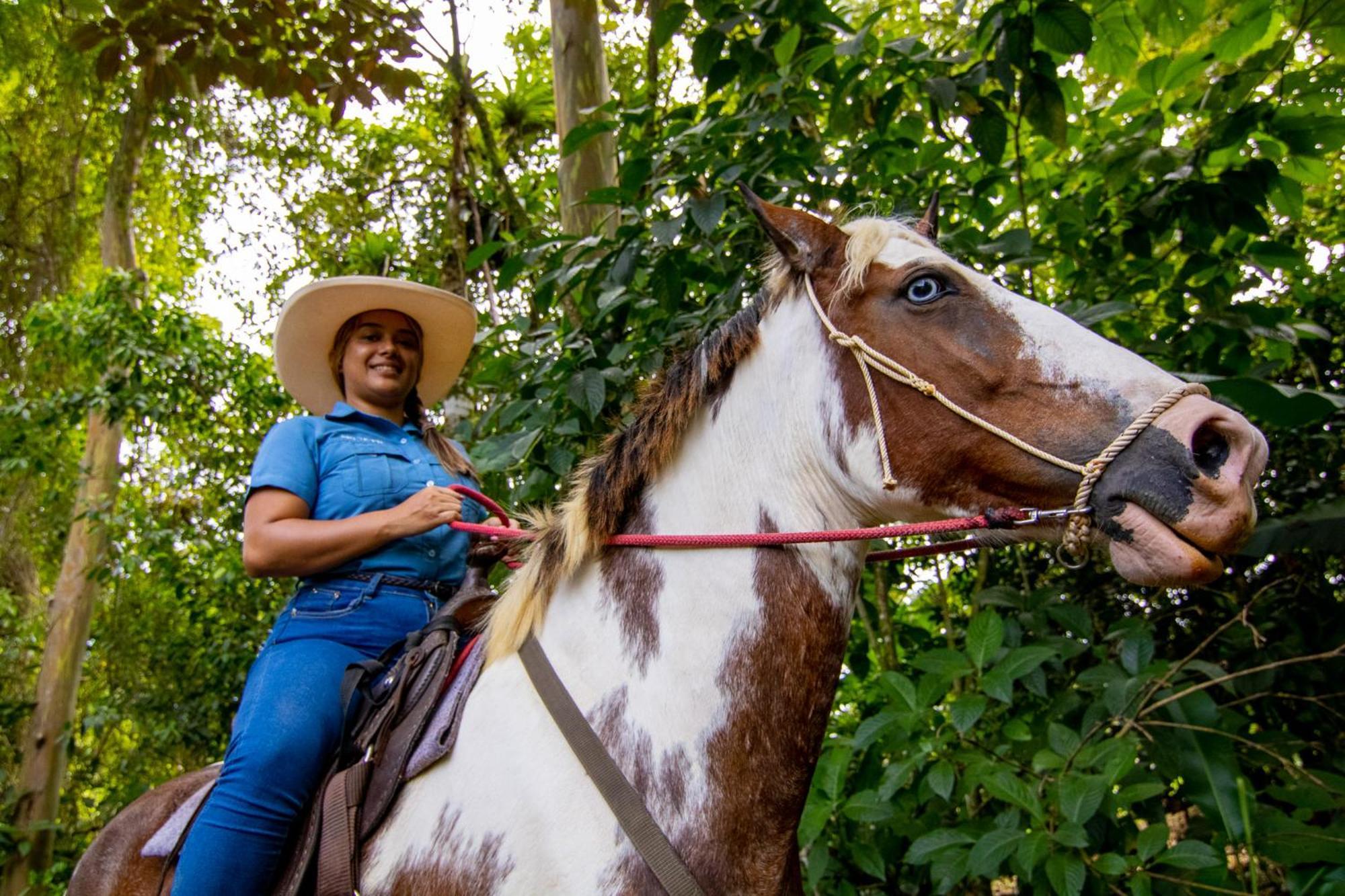Chachagua Rainforest & Hot Springs 4*
