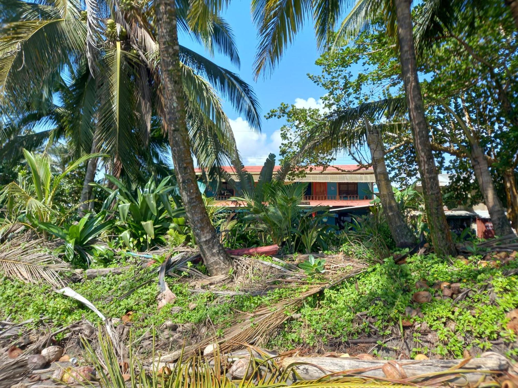Tortuguero Adventures Beach House *