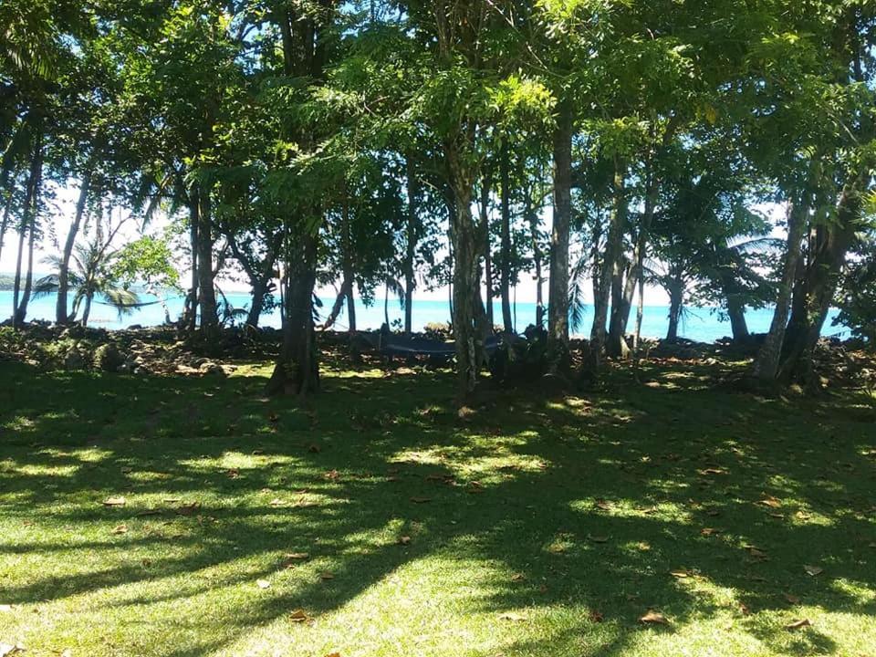 Cahuita Inn 3*