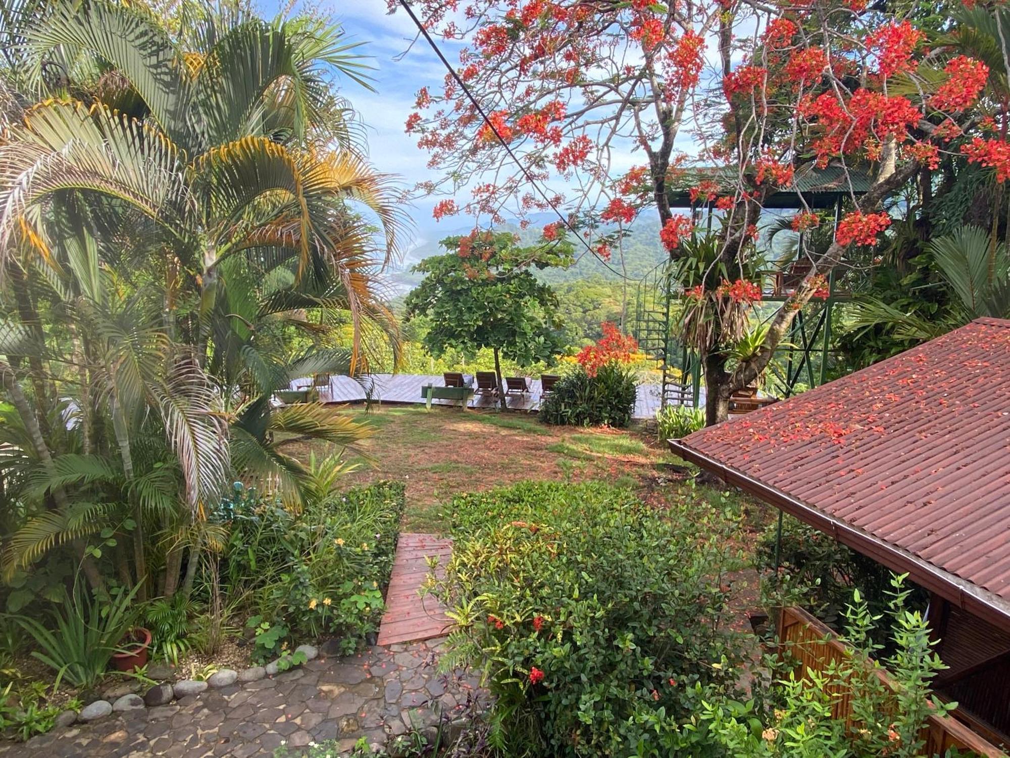 Pacific Edge Eco Bed & Breakfast Dominical