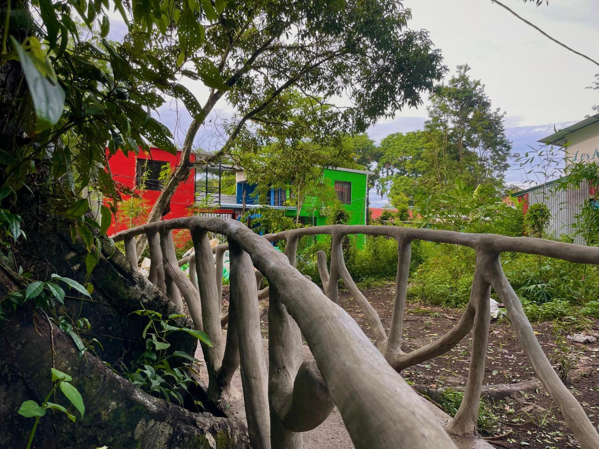 Carey 2* Tortuguero