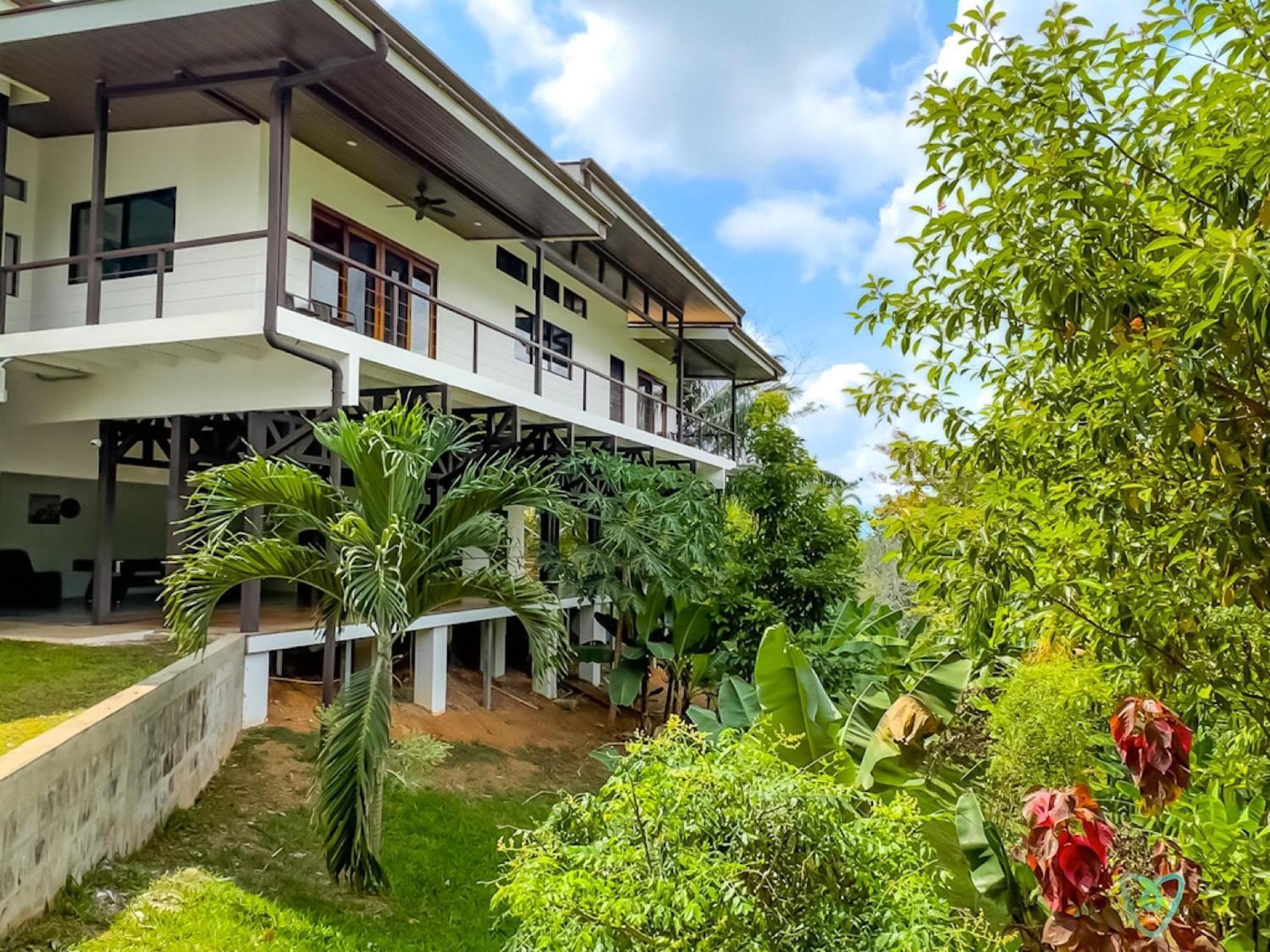 Breathtaking Ocean View On Mountain In The Jungle *