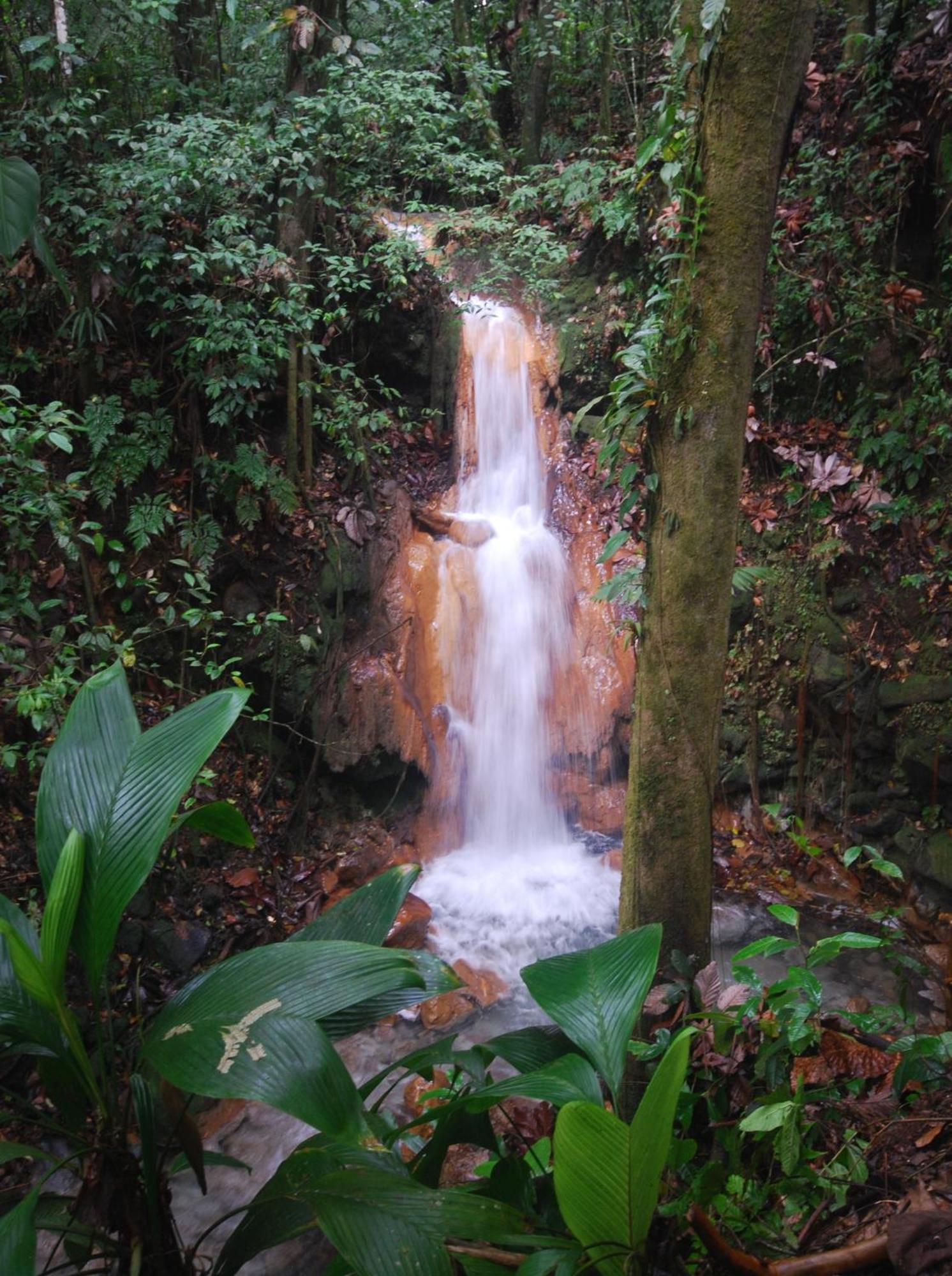 Blue River & Hot Springs Liberia