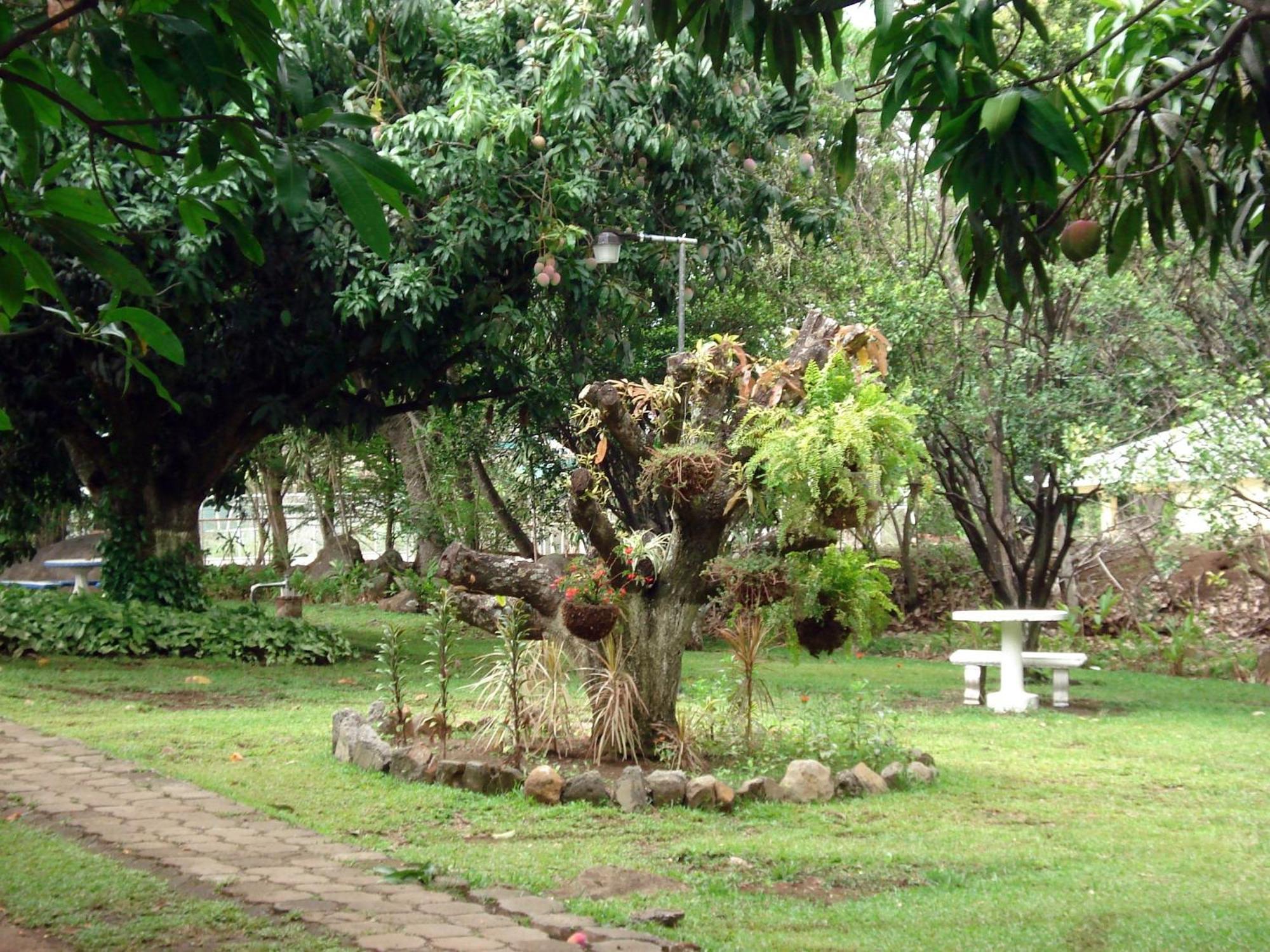 Aeropuerto 3* Alajuela