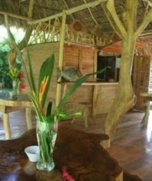 Hotel Blue Conga Puerto Viejo de Talamanca