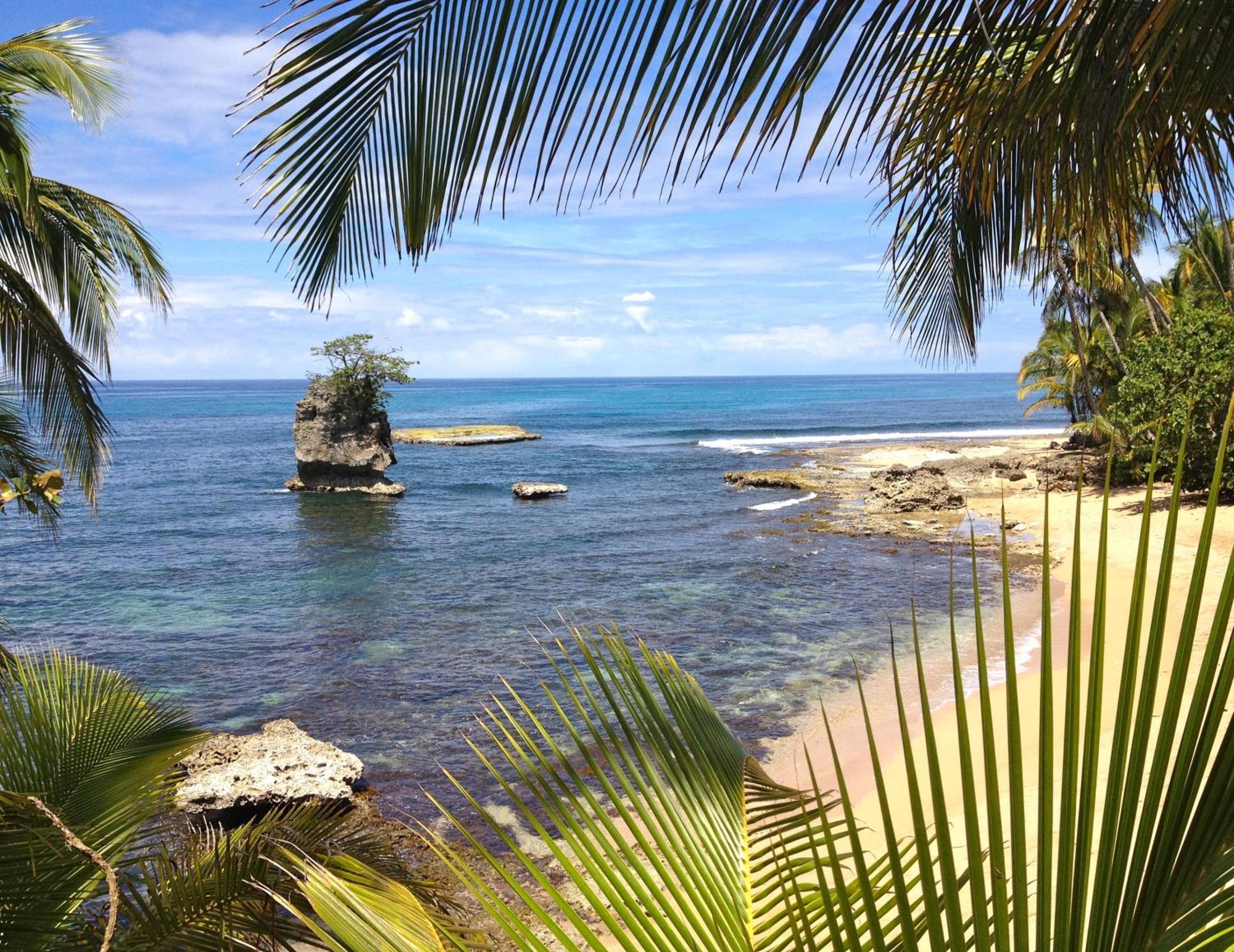 Physis Caribbean
