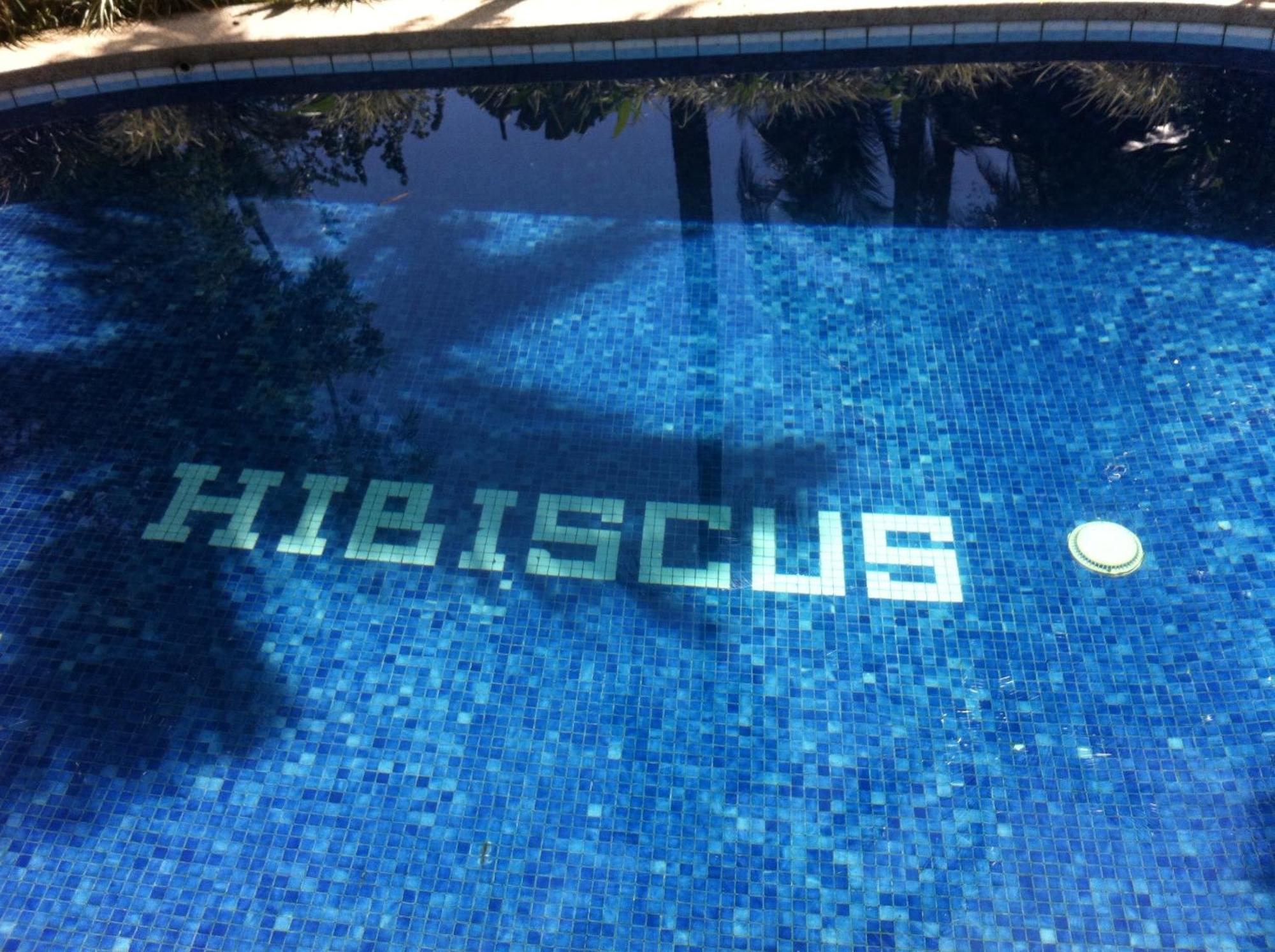 Cabinas Hibiscus Holiday home Cahuita