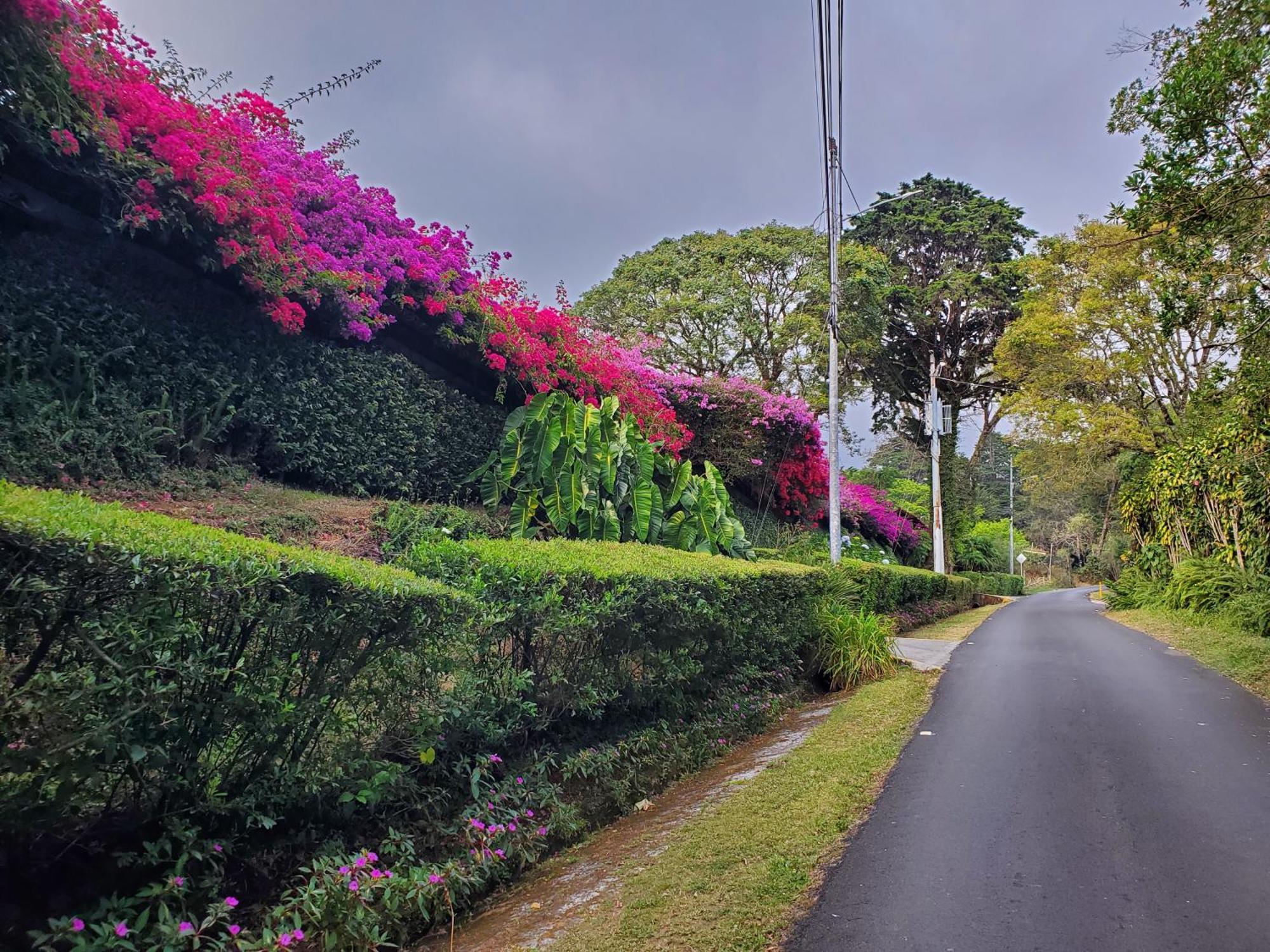 Finca Paraiso Mountain Retreat Near San Jose Airport Hotel